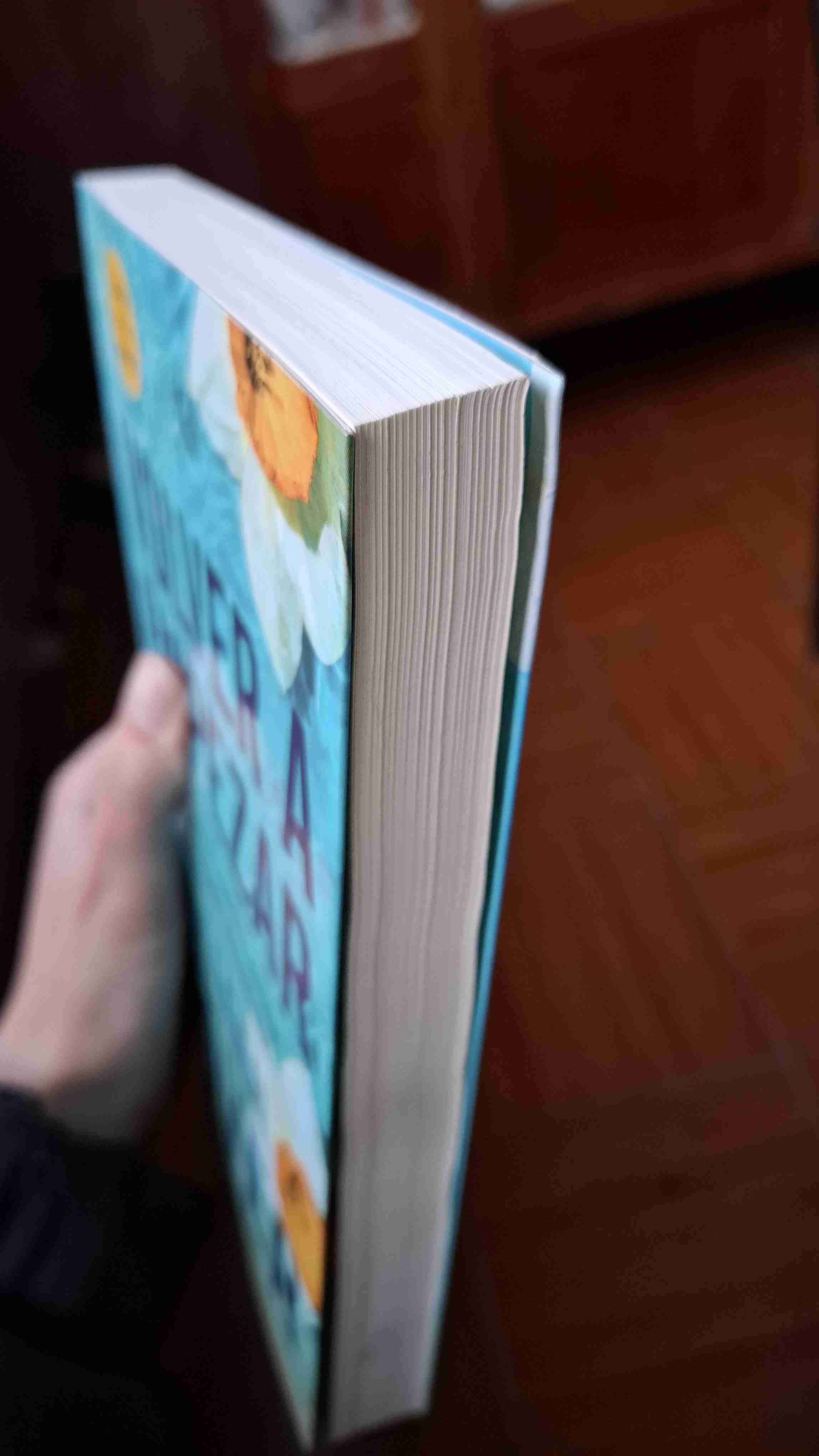 Libro 'Volver a Empezar' Colleen Hoover - miniatura 3