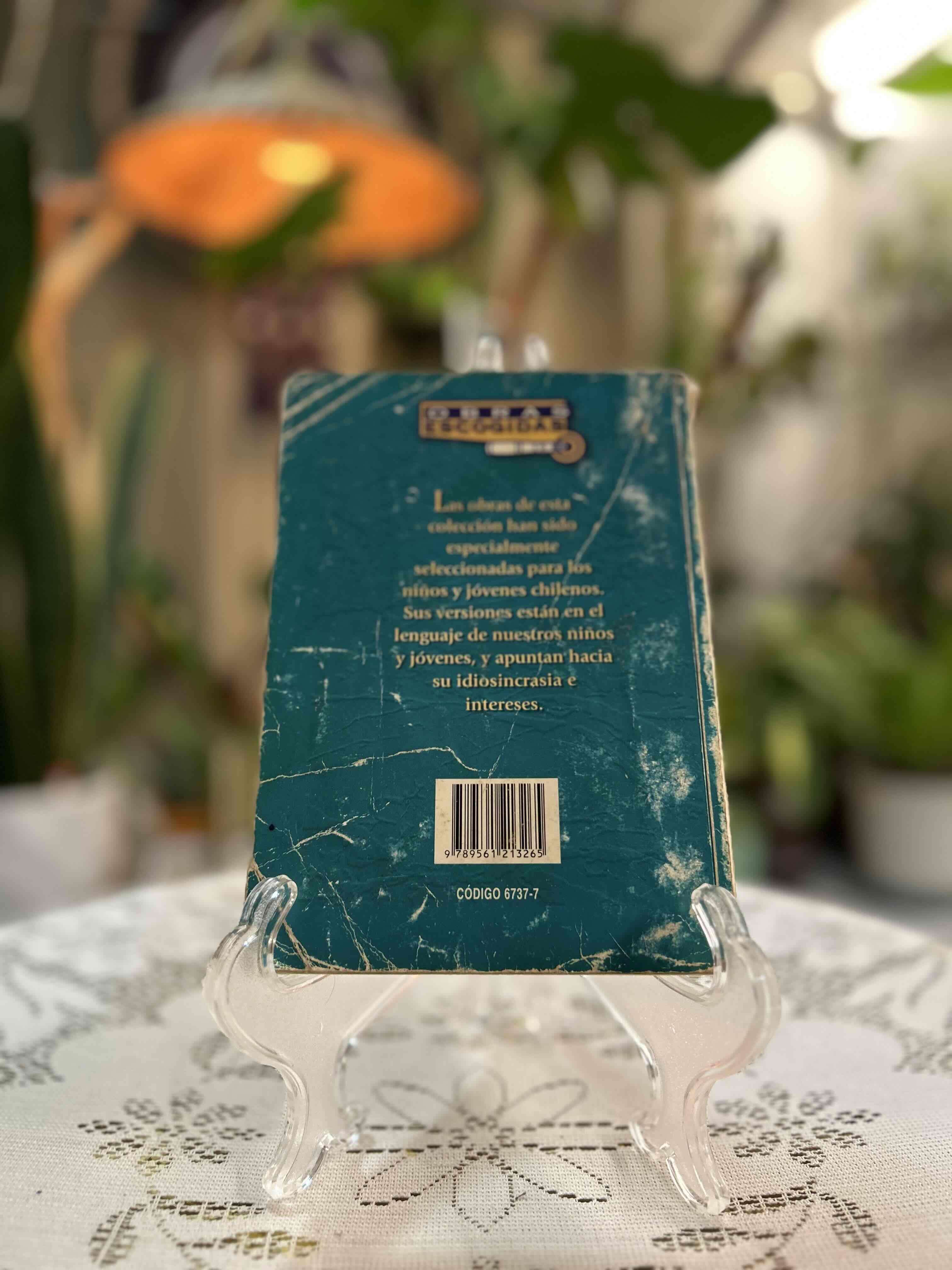 Diario de Ana Frank libro - miniatura 2
