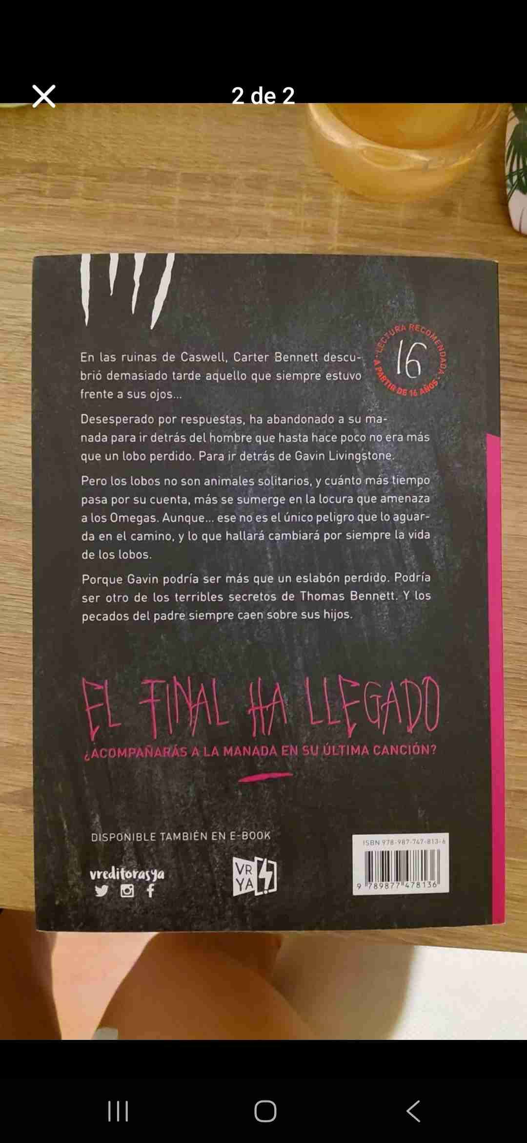 Libro La Canción de los Hermanos - miniatura 2