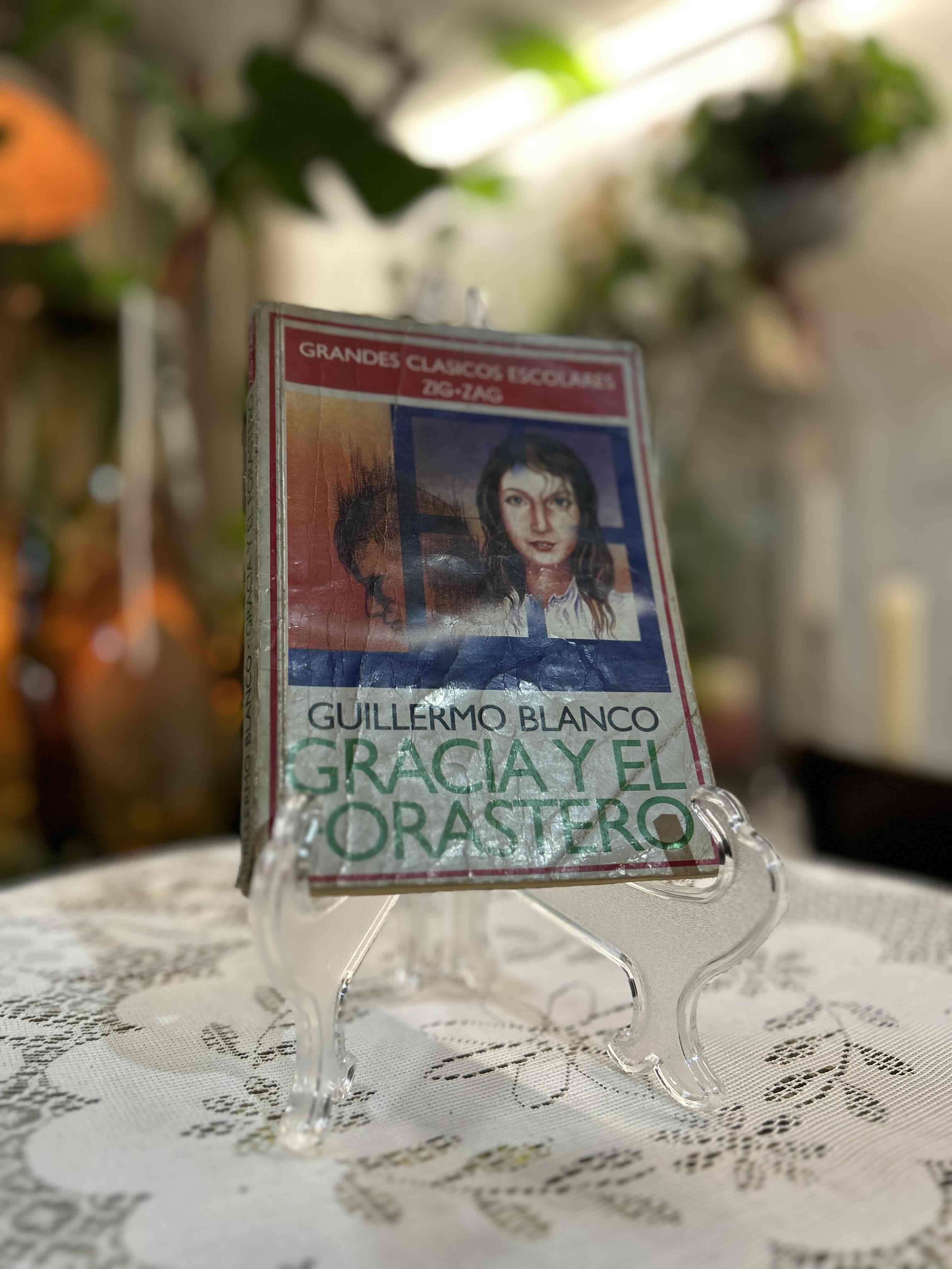 Libro Gracia y el Forastero - miniatura 1