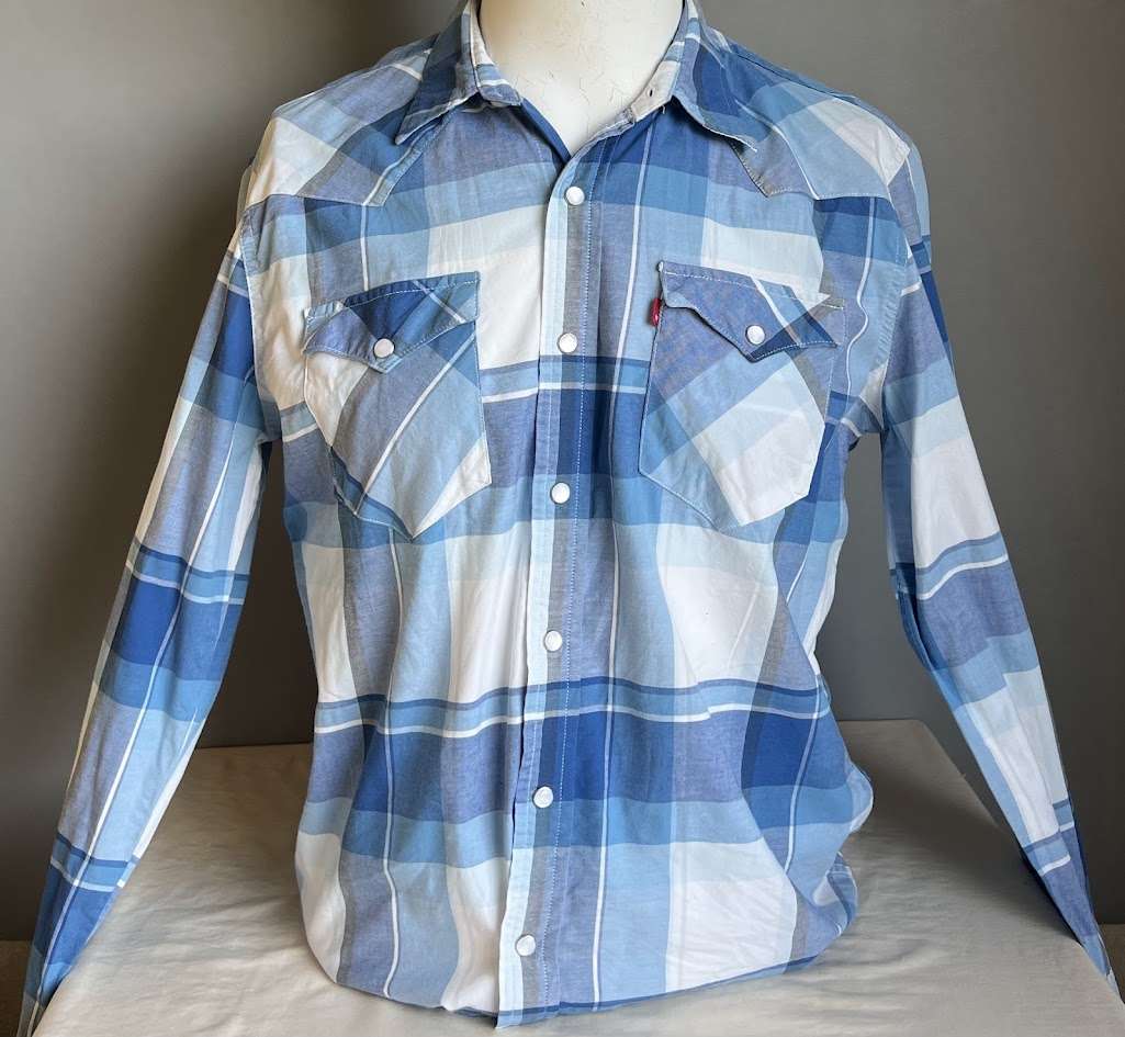 Camisa a cuadros azul y blanca Levis Talla M - miniatura 1
