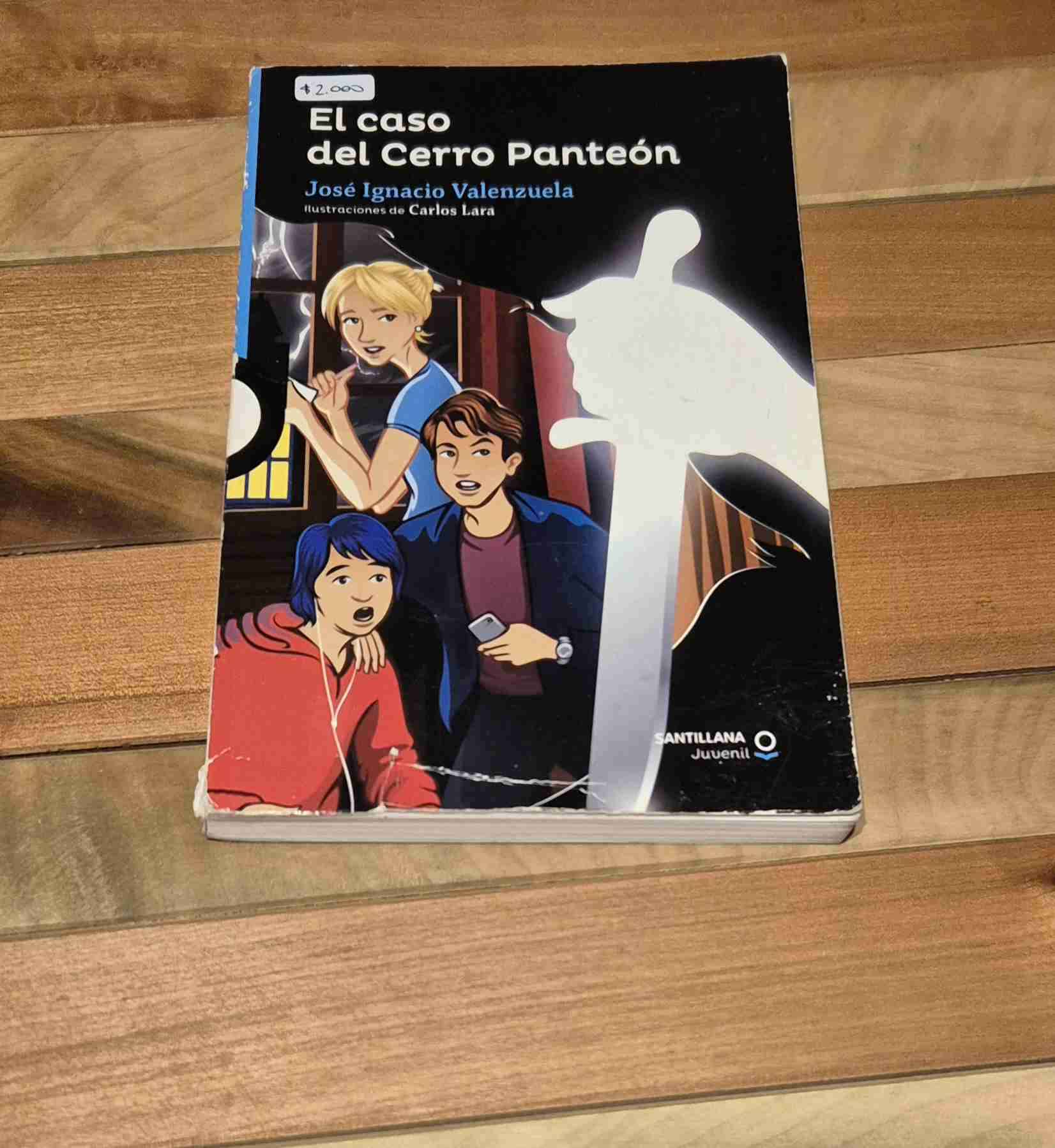 Libro 'El caso del Cerro Panteón'