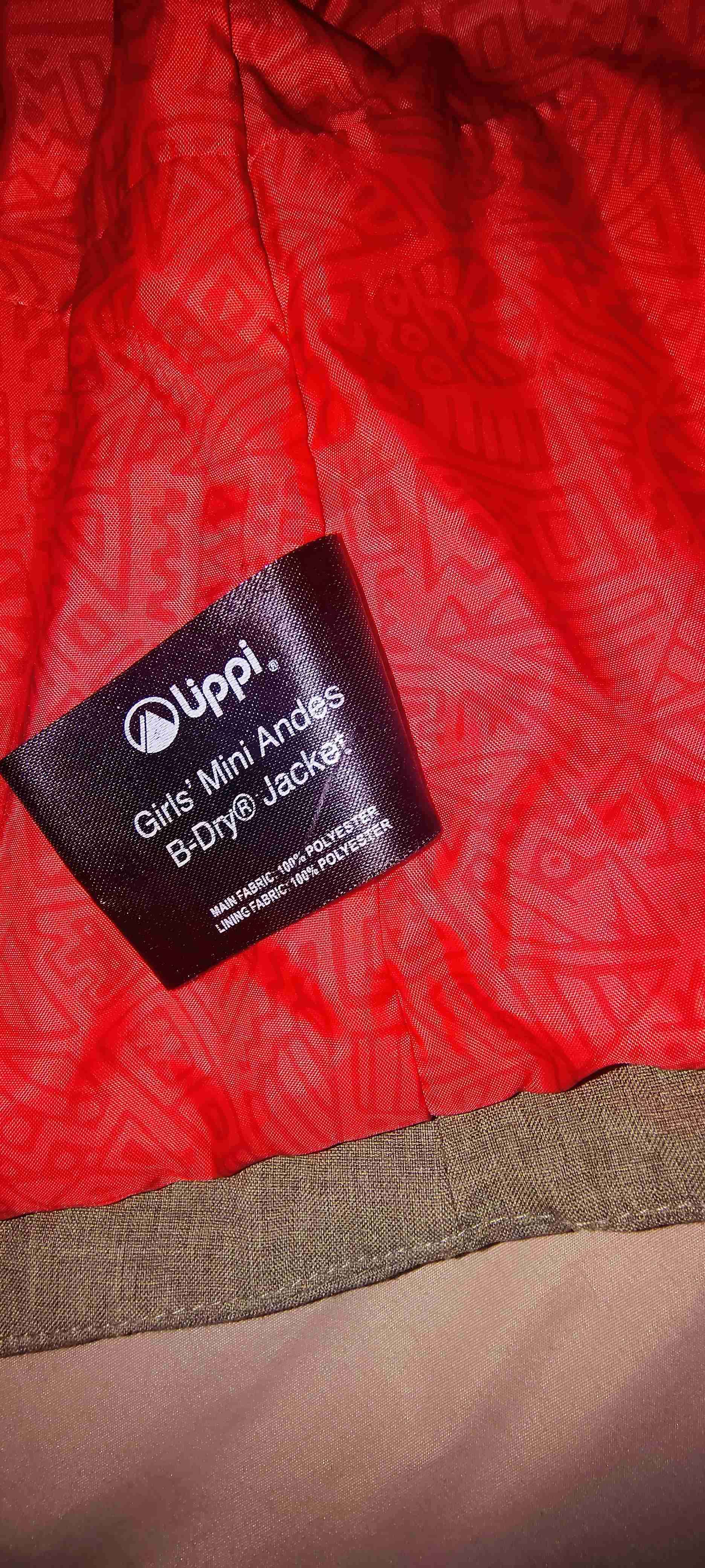 Chaqueta verde con capucha - miniatura 4