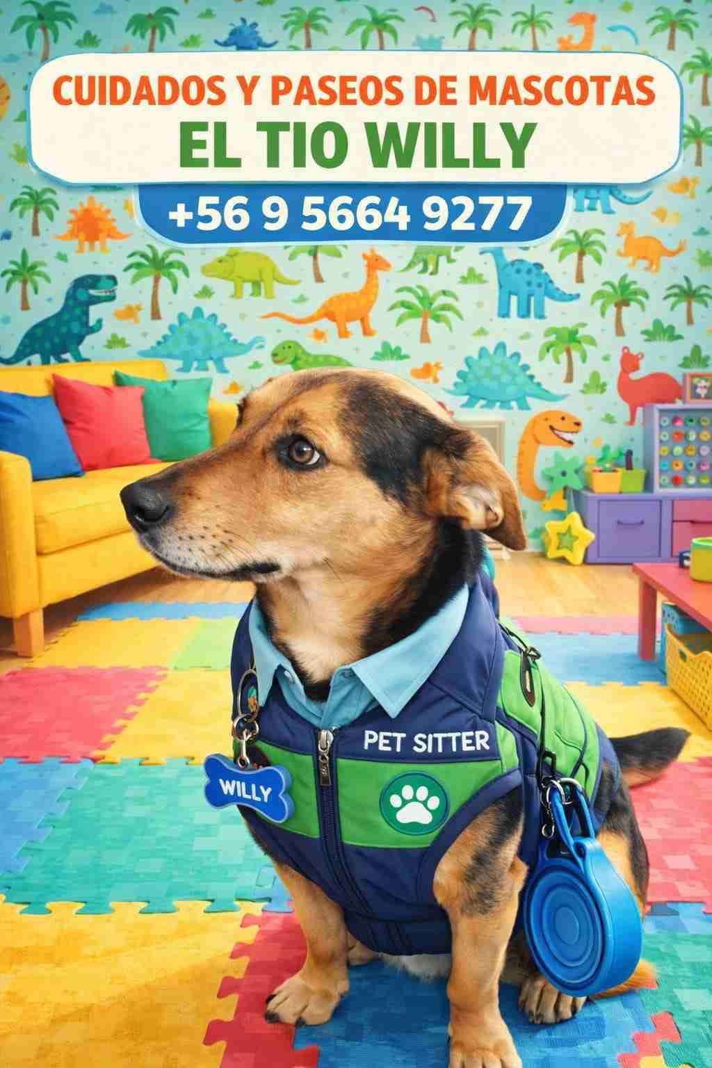 Servicios de cuidado de mascotas - miniatura 1