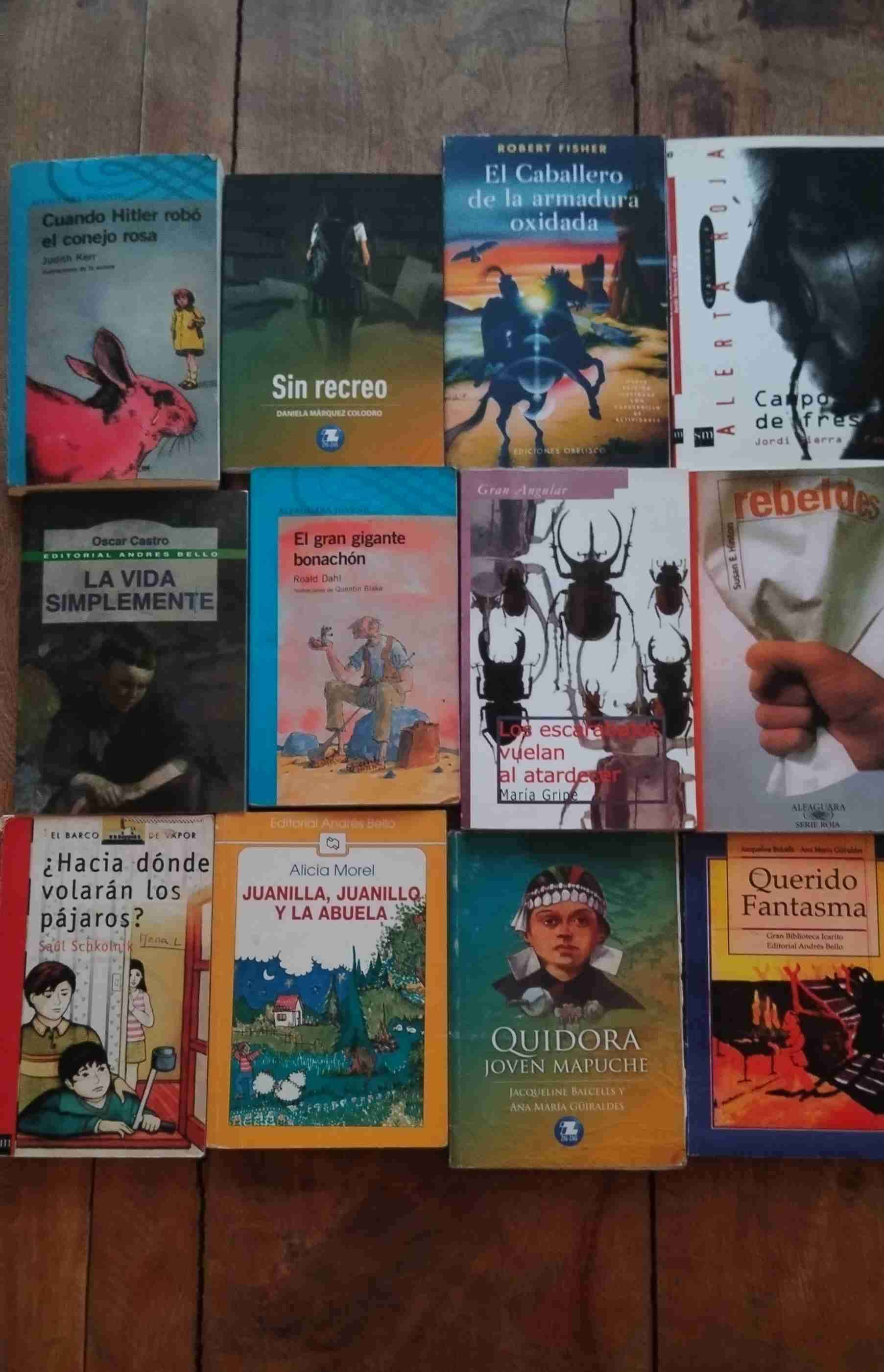 Libros infantiles y juveniles - miniatura 2