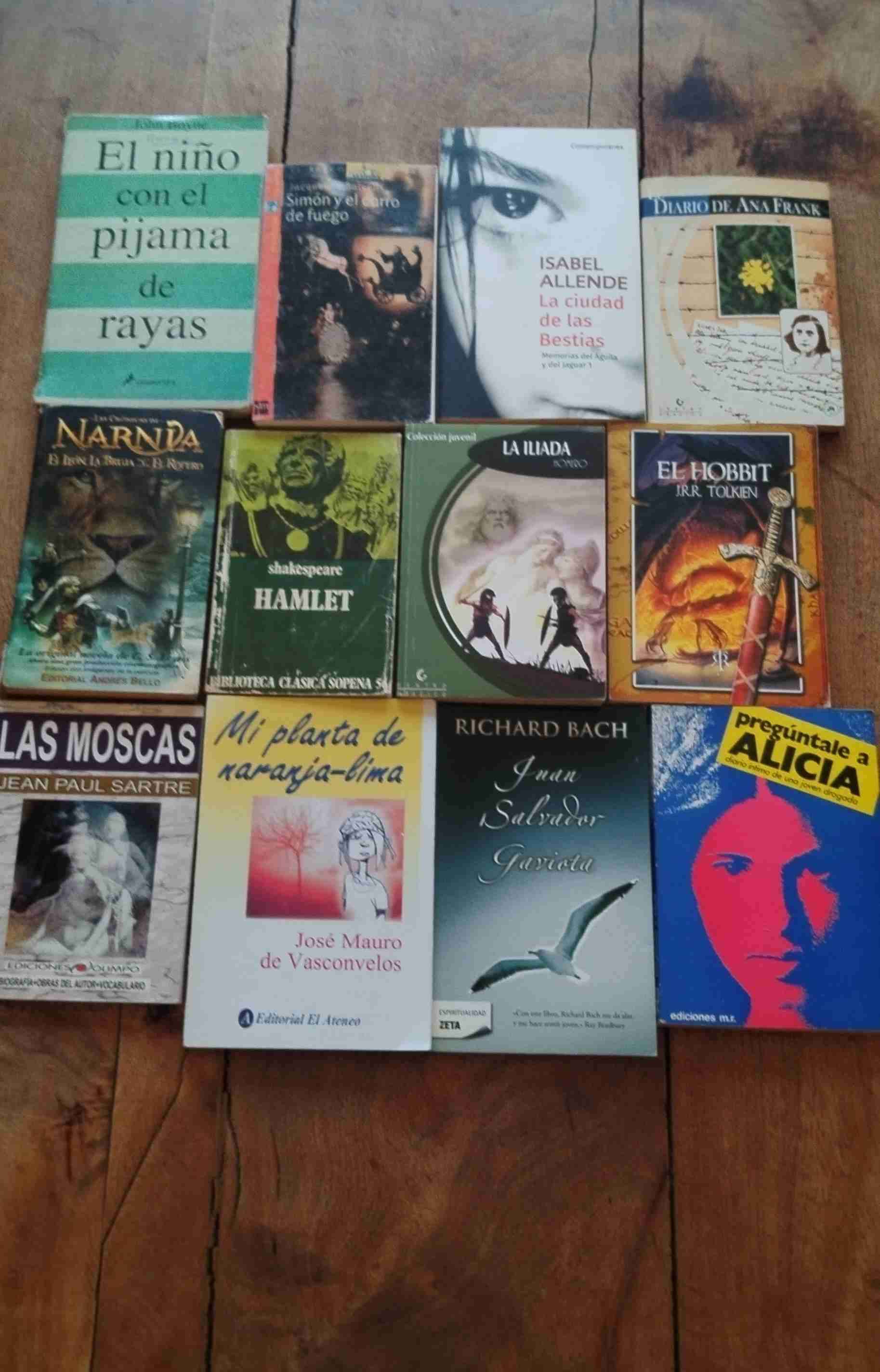 Libros infantiles y juveniles - miniatura 6