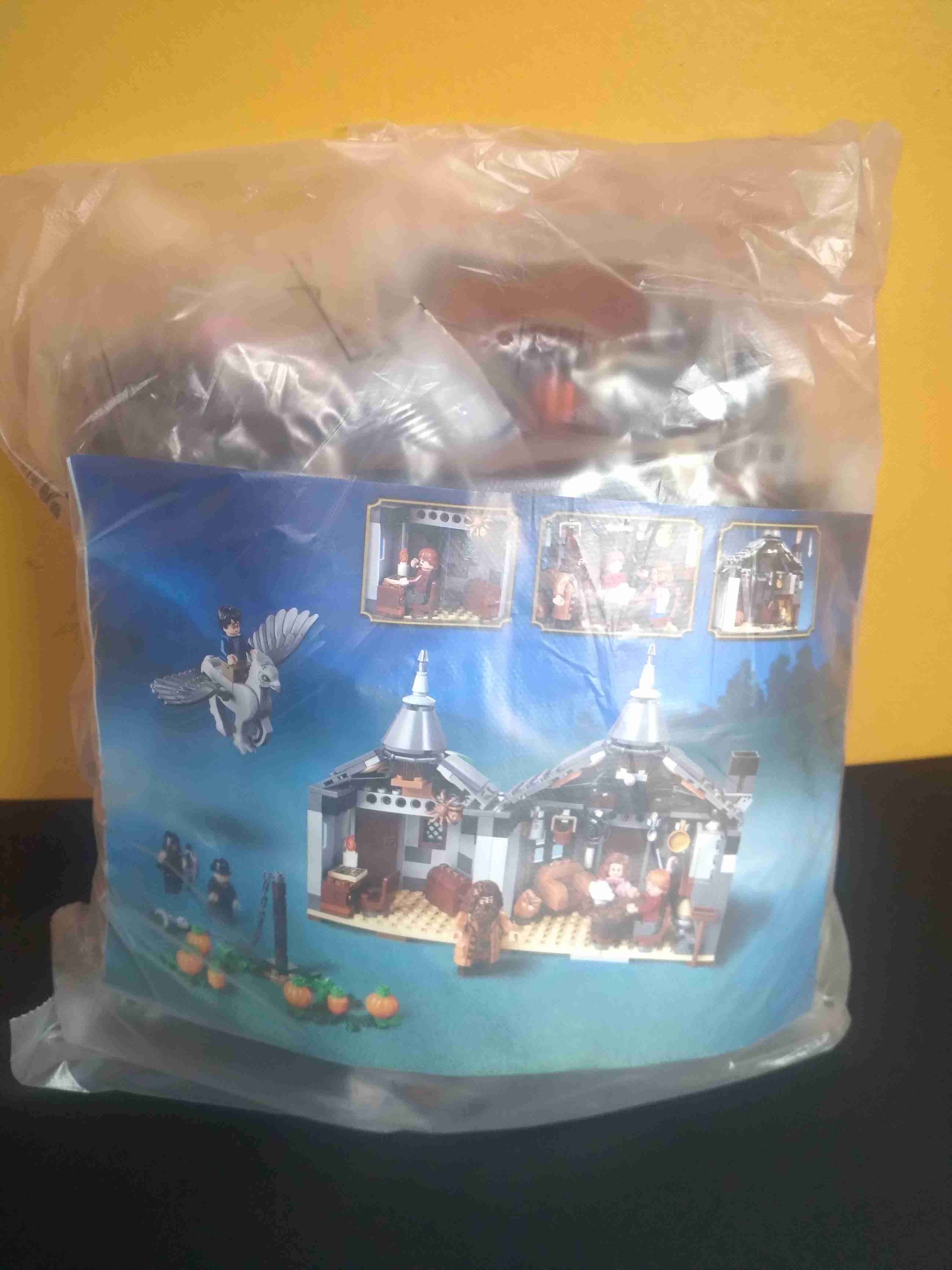 Casa de Hagrid Harry Potter COMPATIBLE CON LEGO - miniatura 3