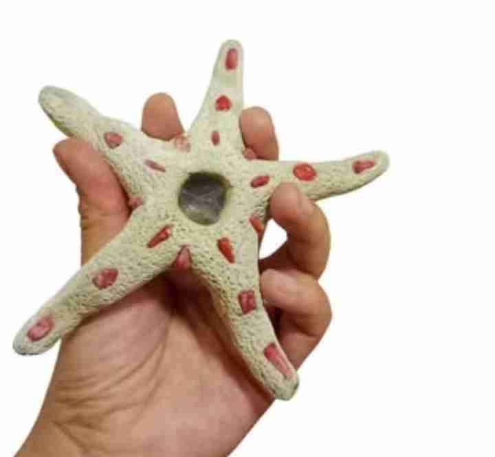 pipas en forma de estrella de mar hecha a mano