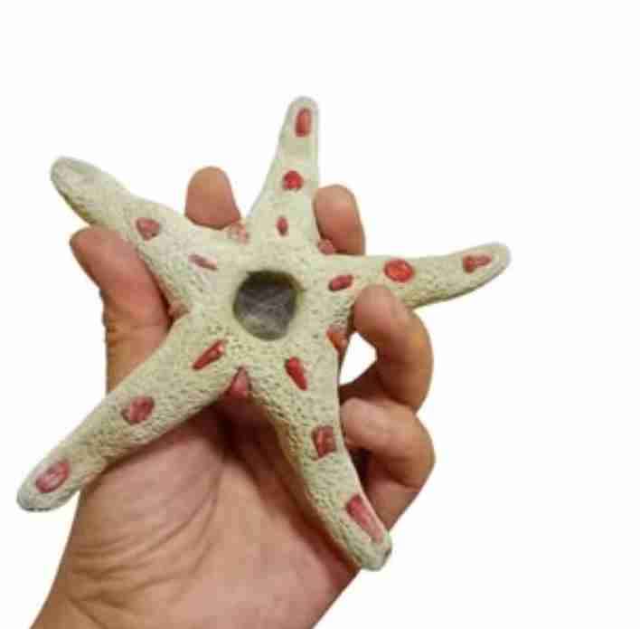 pipas en forma de estrella de mar hecha a mano - miniatura 2