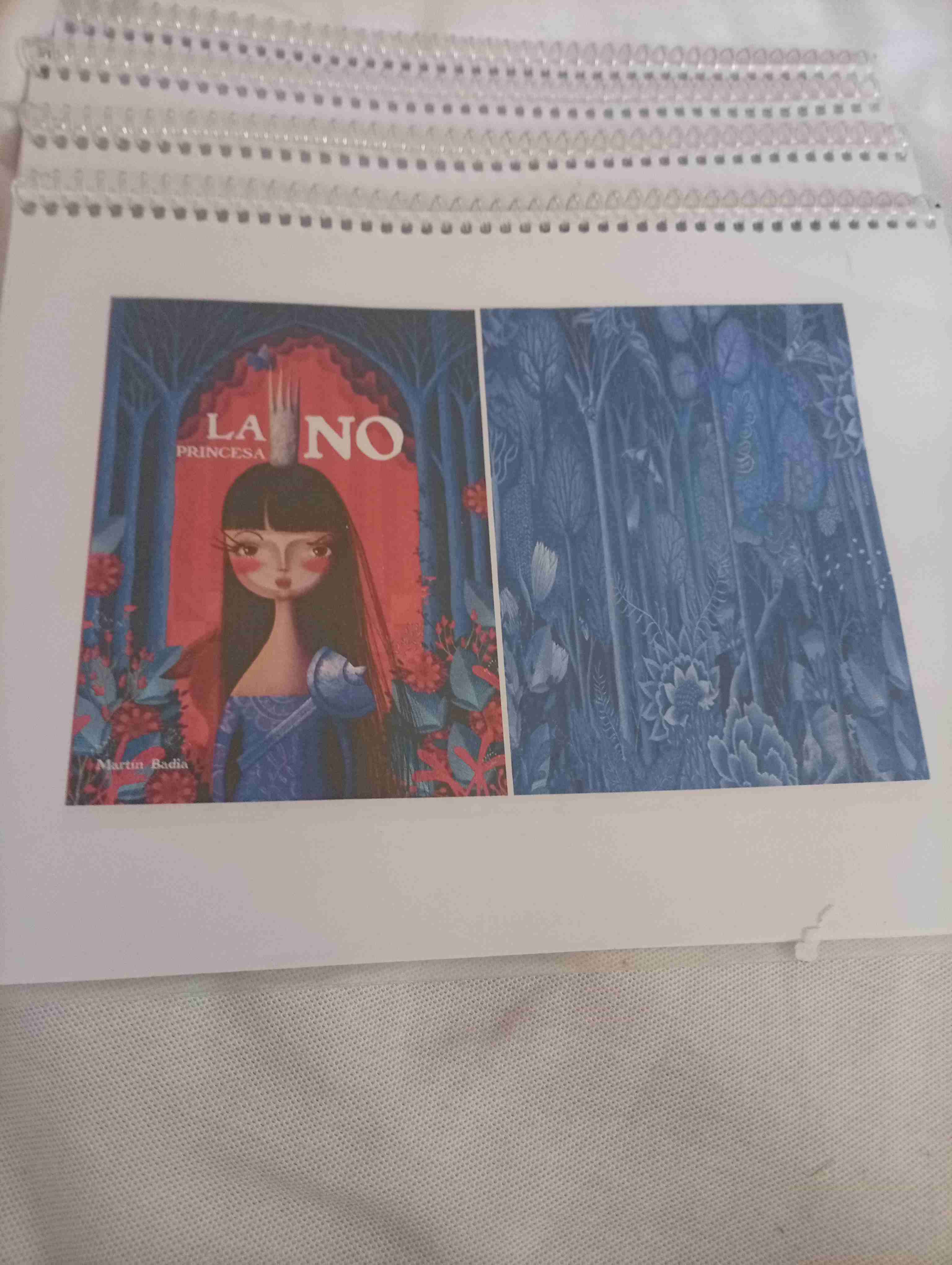 Libro La Princesa No - miniatura 1