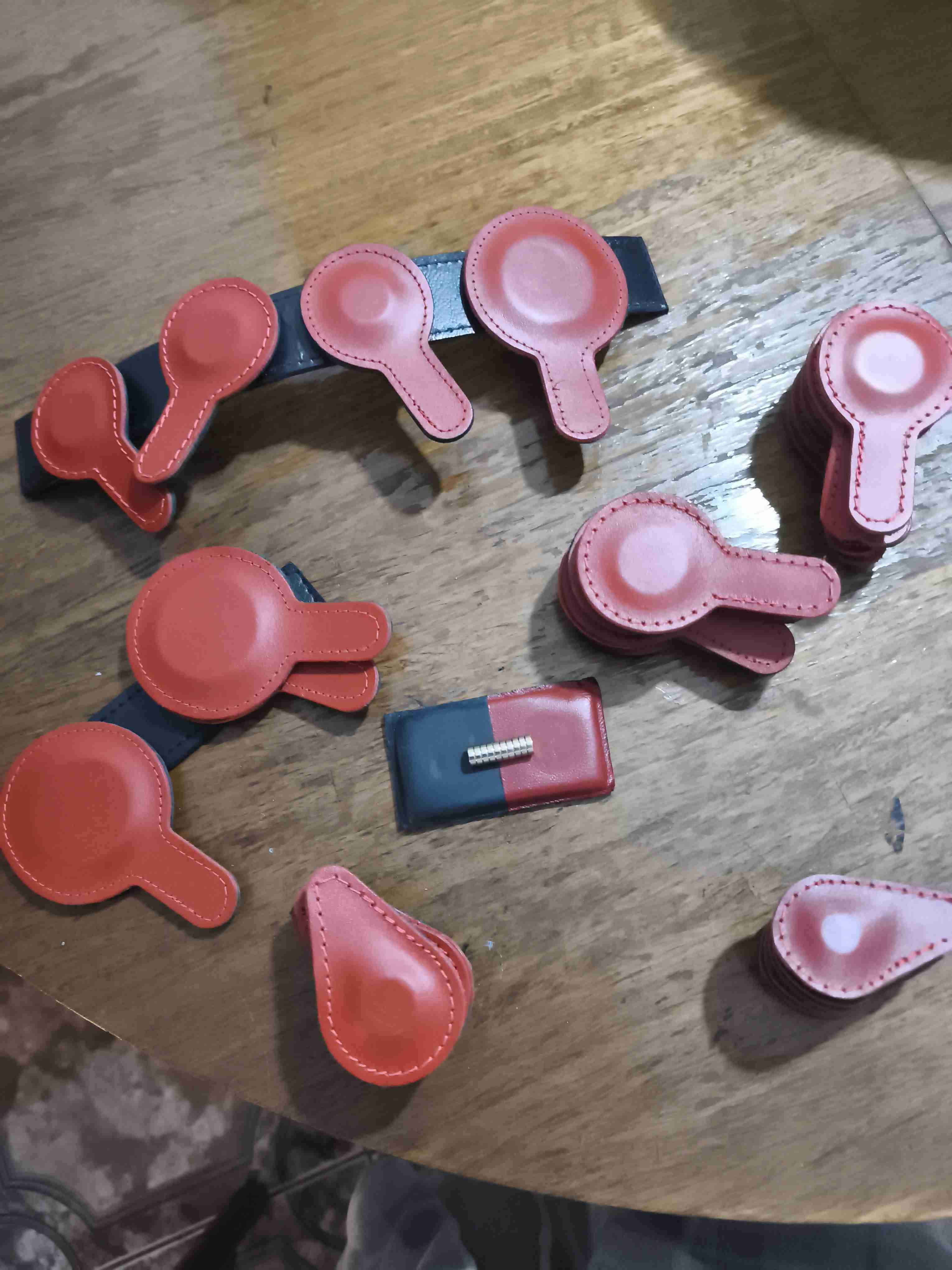 Set profesional de biomagnetismo - miniatura 2