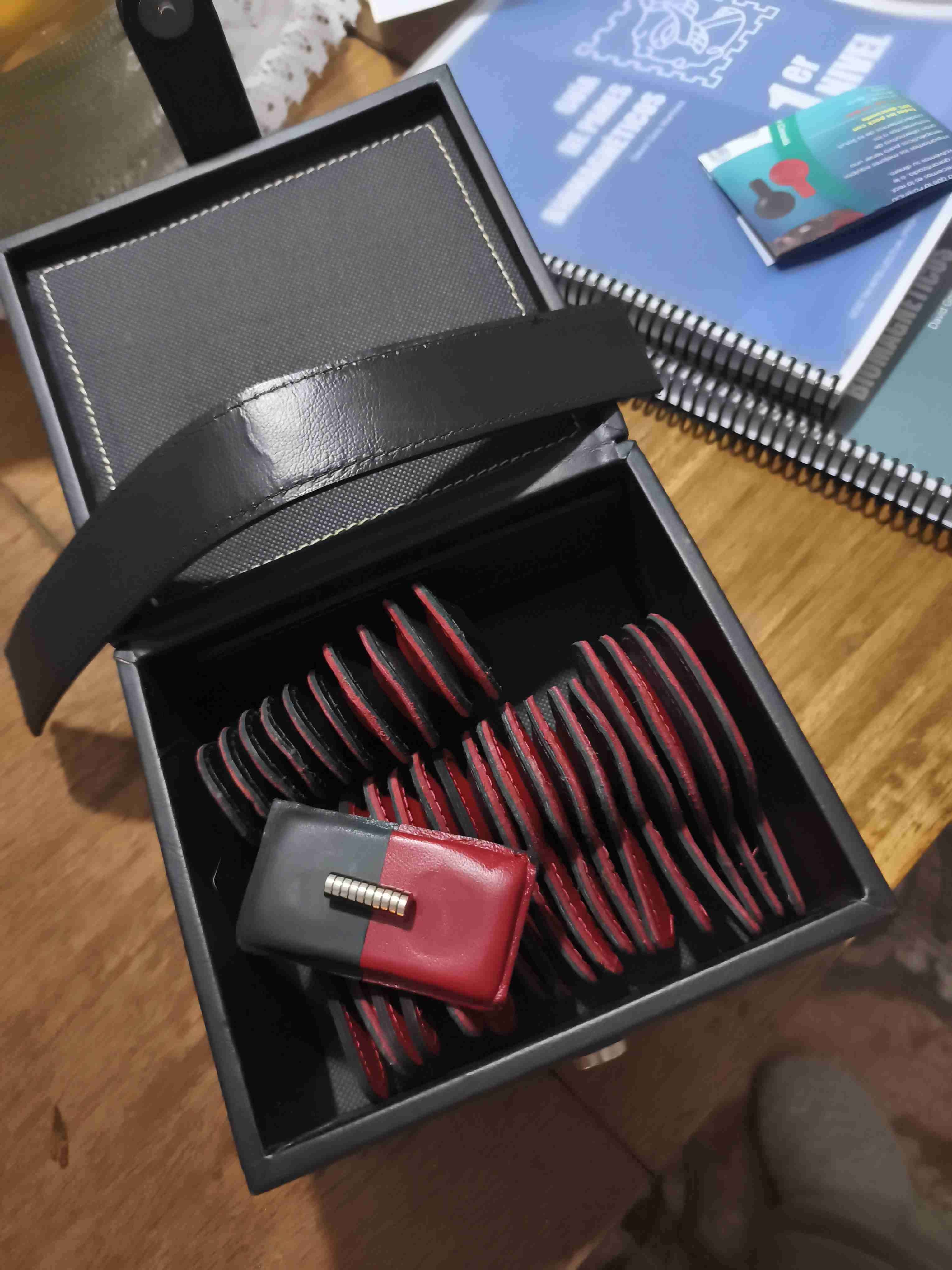 Set profesional de biomagnetismo - miniatura 5