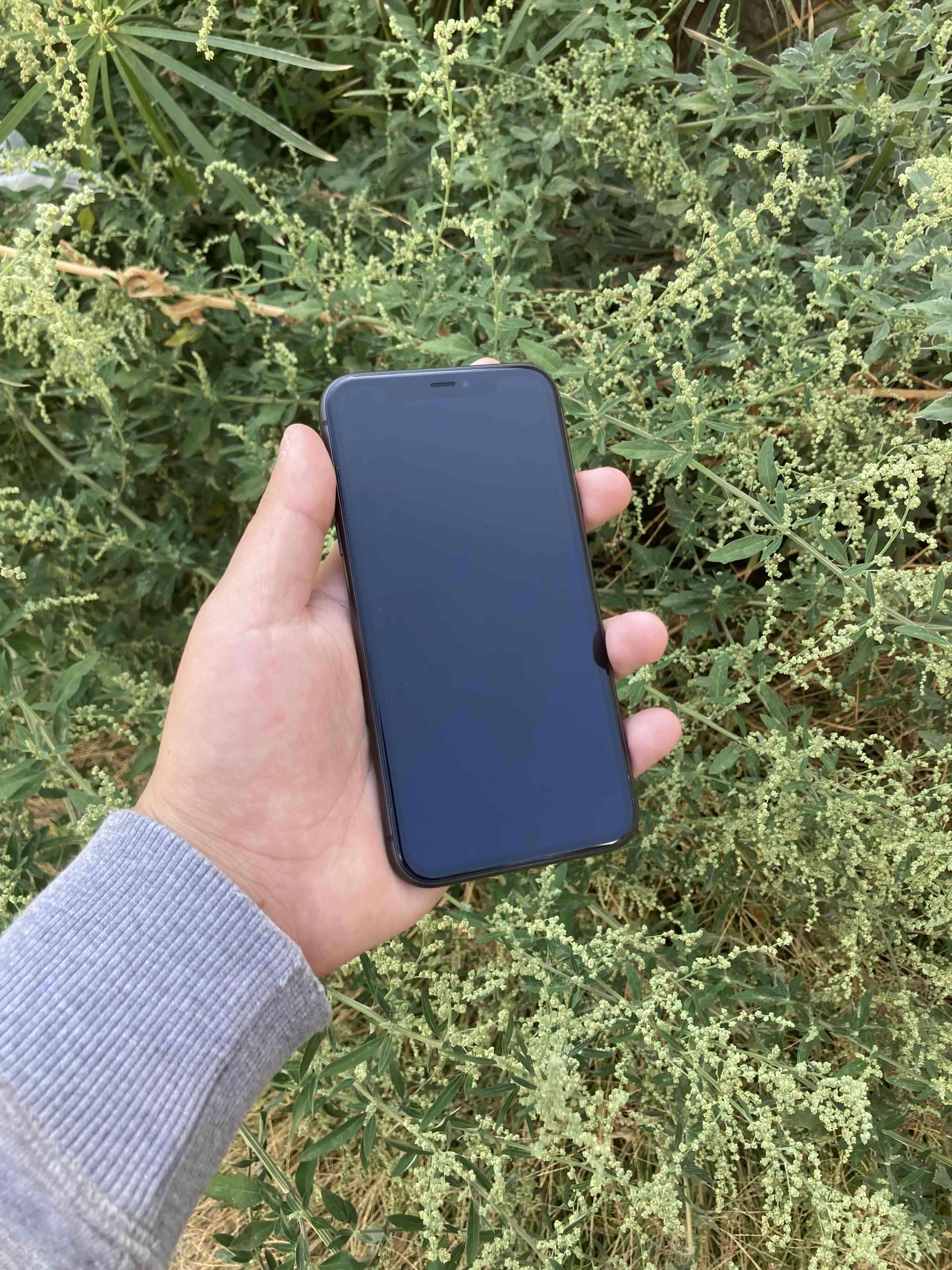 Iphone 11 en buen estado - miniatura 2