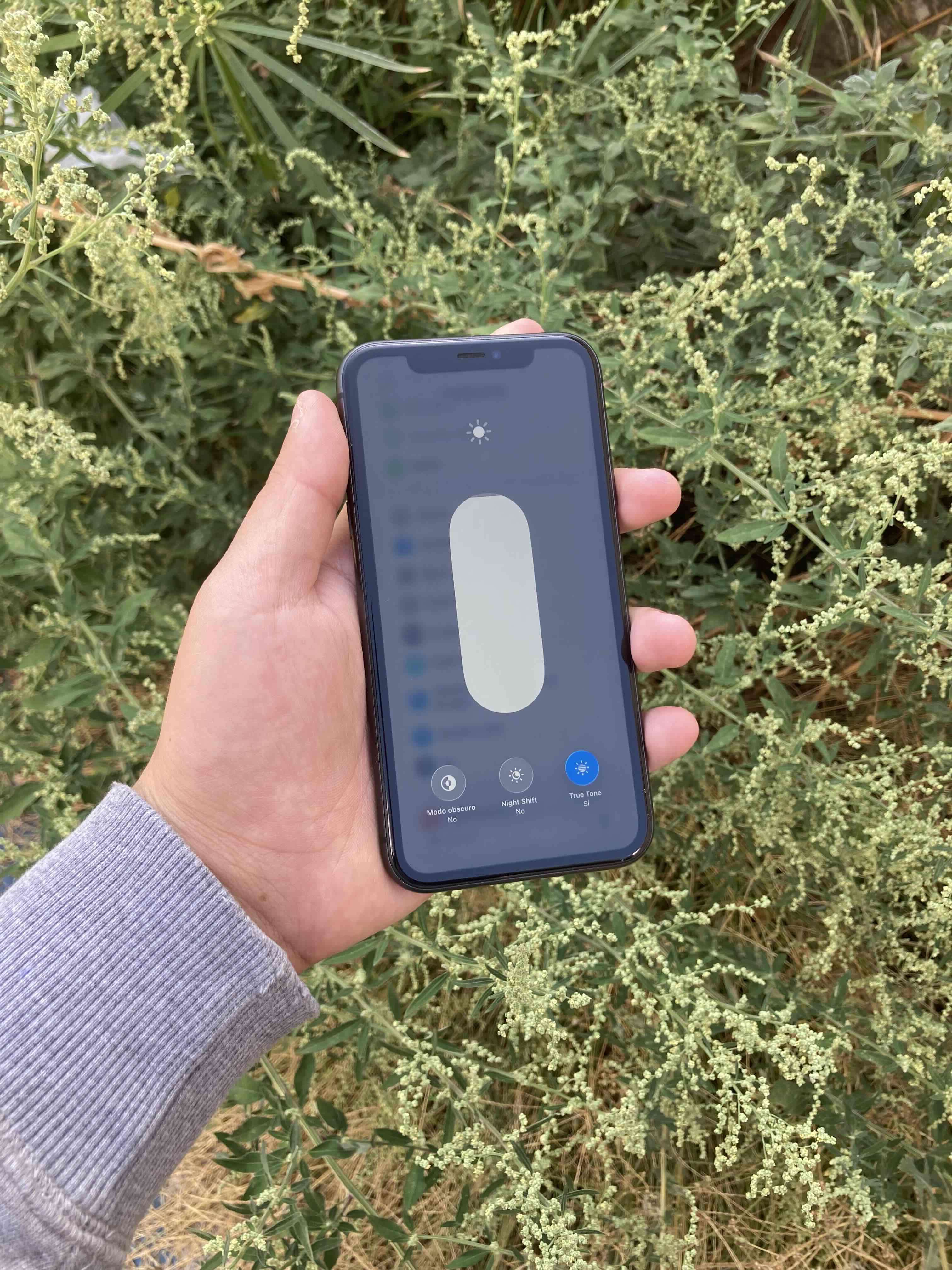 Iphone 11 en buen estado - miniatura 3