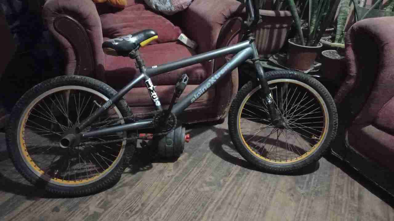 Bicicleta BMX gris alpina - miniatura 2