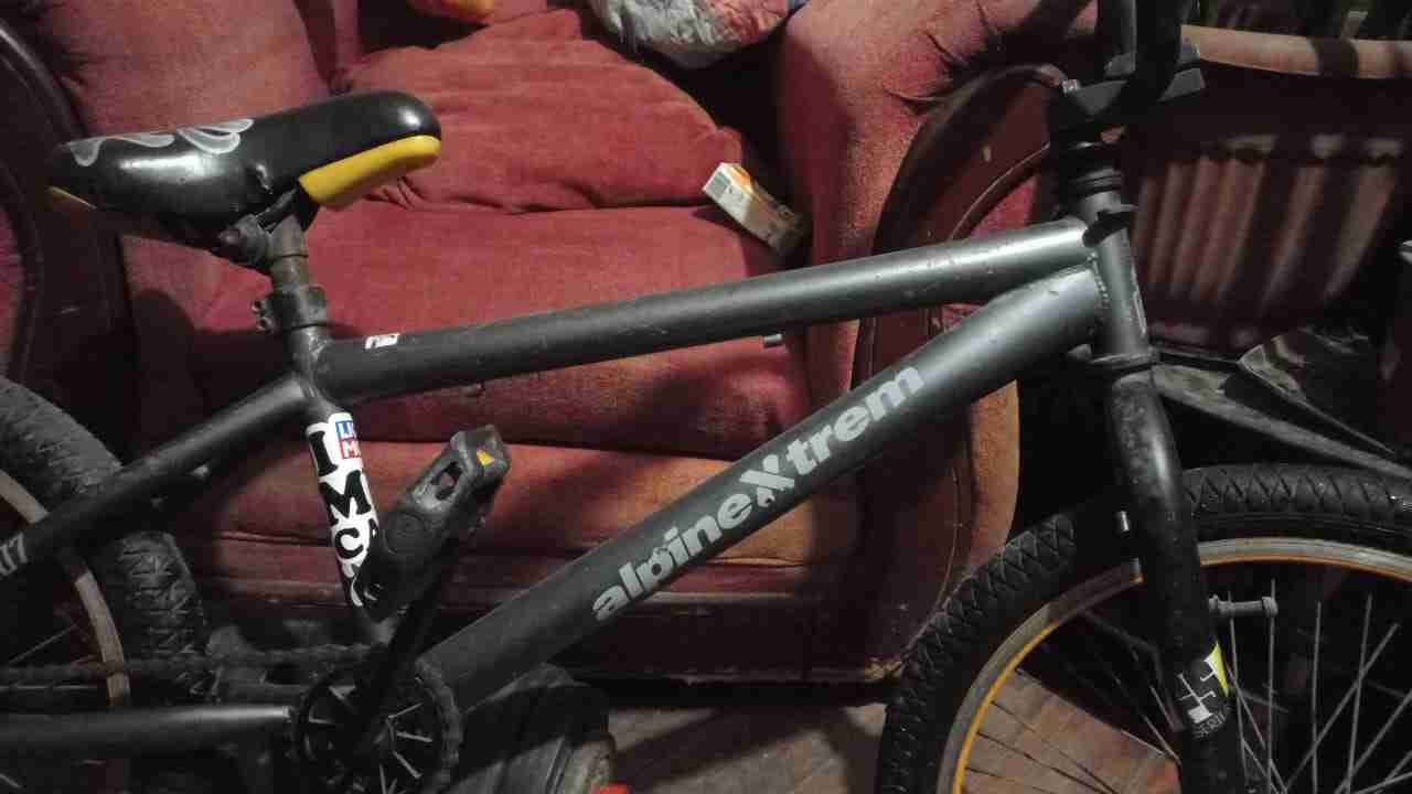 Bicicleta BMX gris alpina - miniatura 3