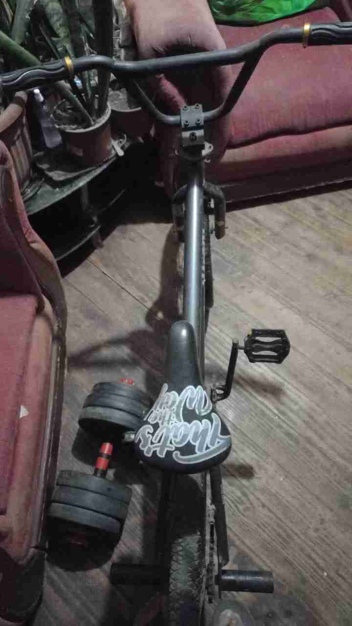 Bicicleta BMX gris alpina - miniatura 6