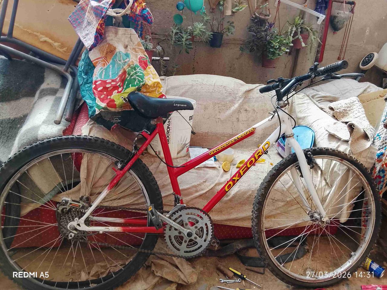 Bicicleta Oxford roja y blanca - miniatura 2