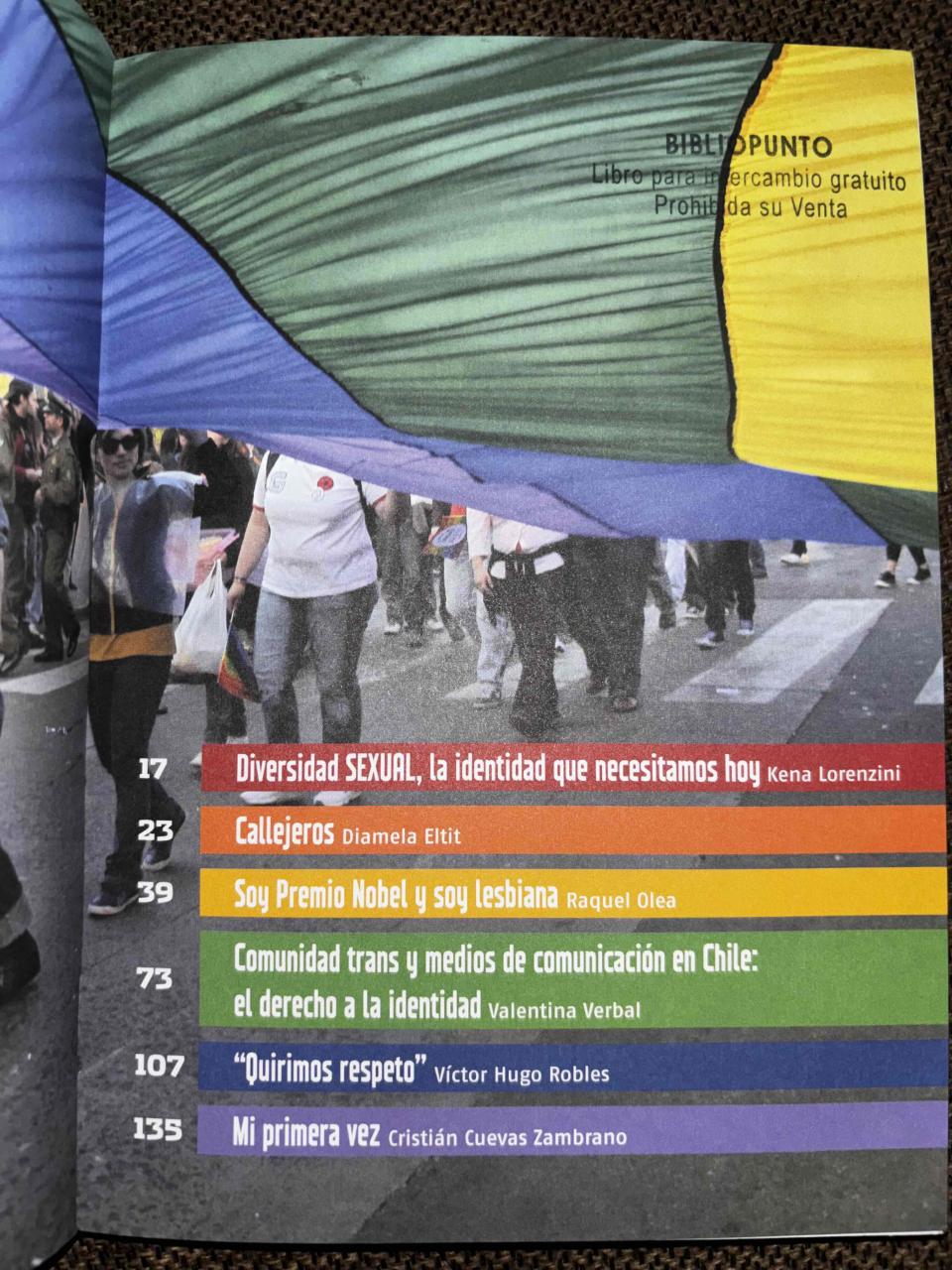Libro Diversidad Sexual y constitución politica - miniatura 3