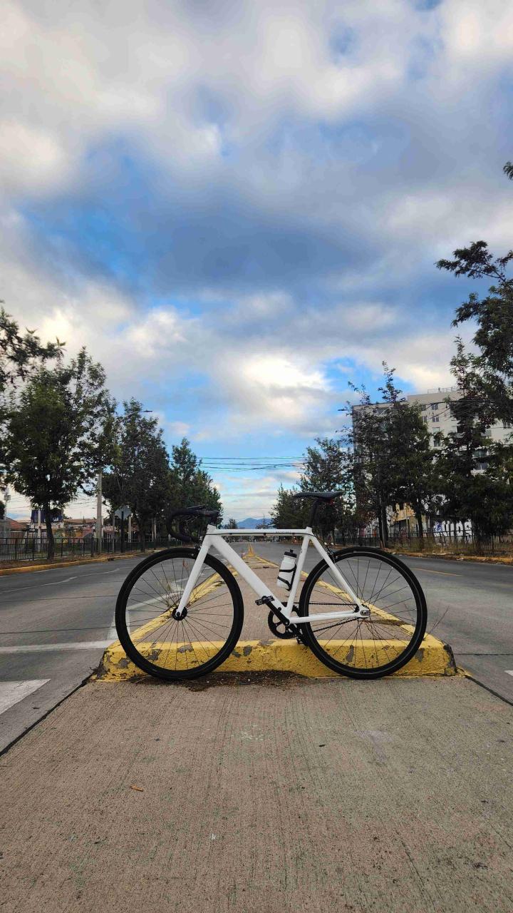 Bicicleta P3 track - miniatura 1