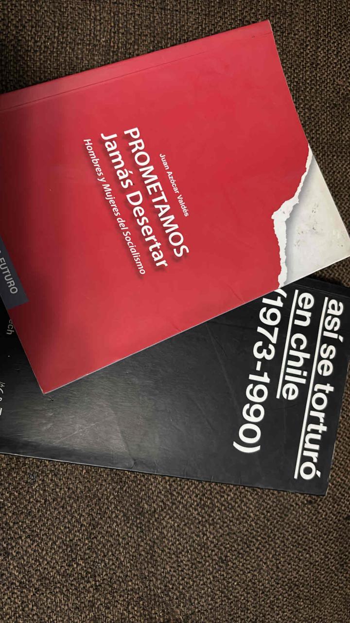 Lote de dos libros sobre Chile - miniatura 1