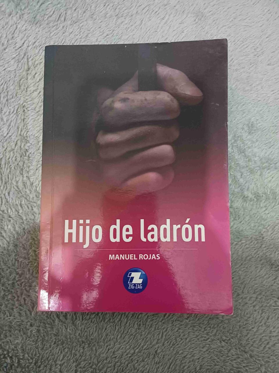 Libro Hijo de Ladrón