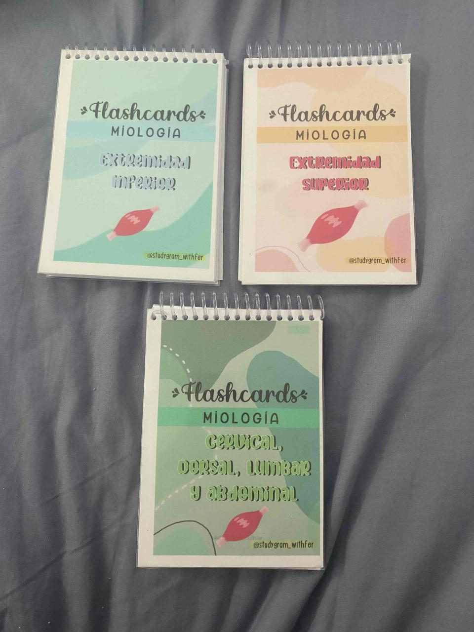 Apuntes de kinesiología - miniatura 2
