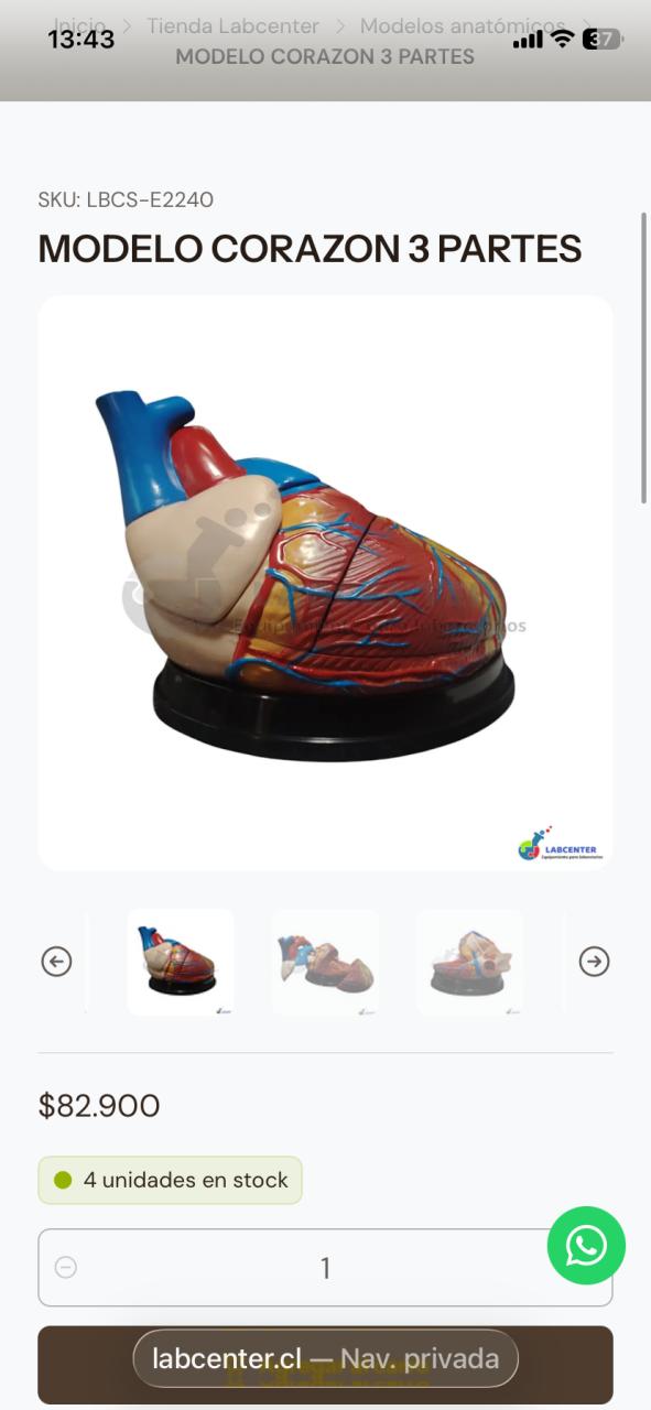 Modelo anatómico de corazón humano - miniatura 5