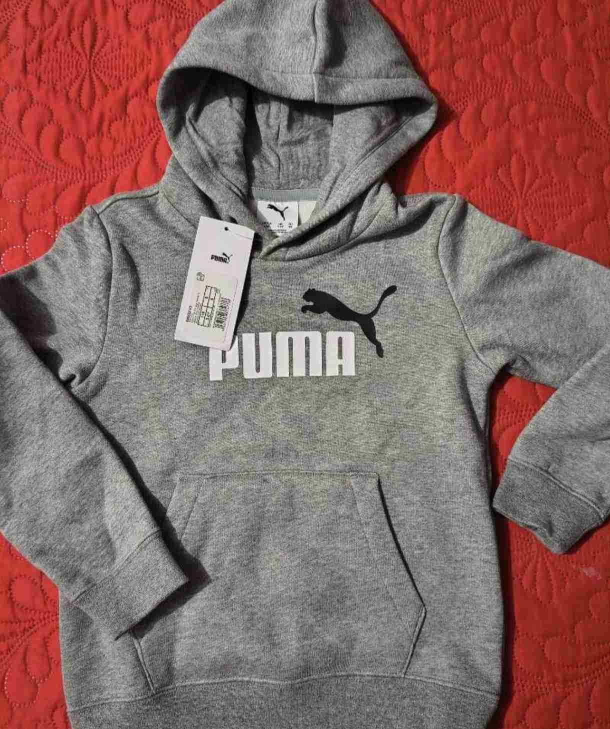 Polerón gris con capucha Puma - miniatura 1