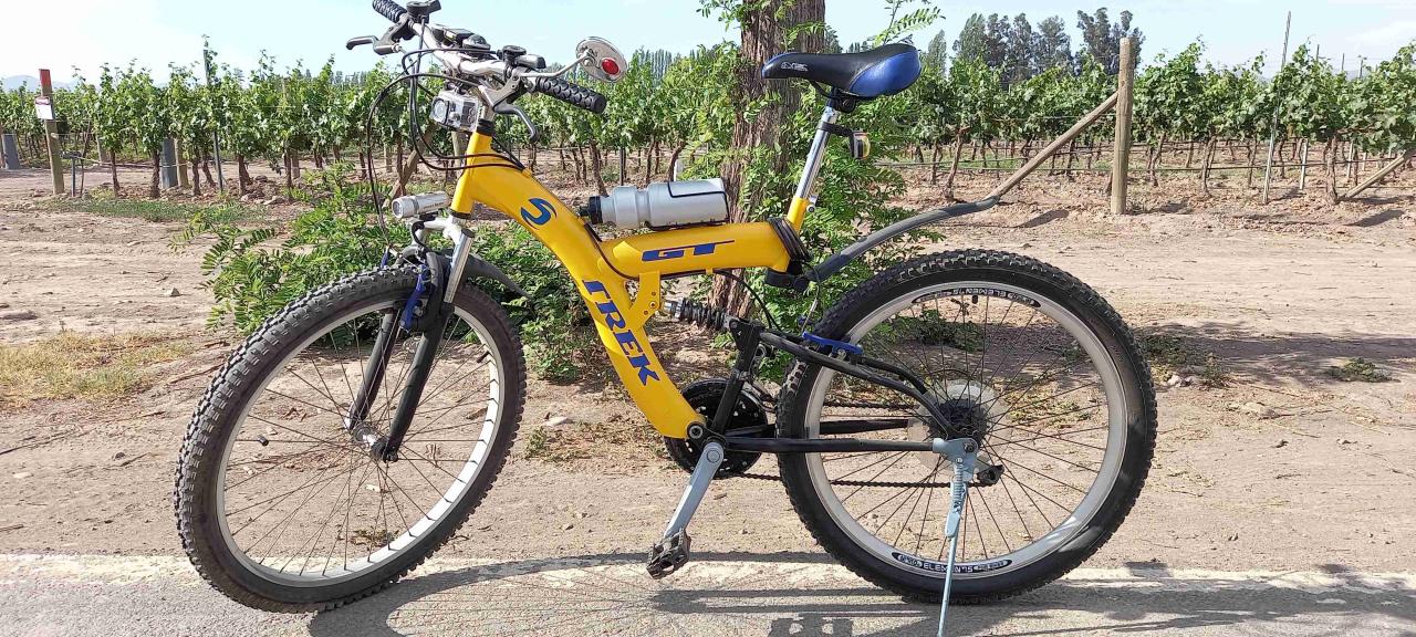 Bicicleta amarilla