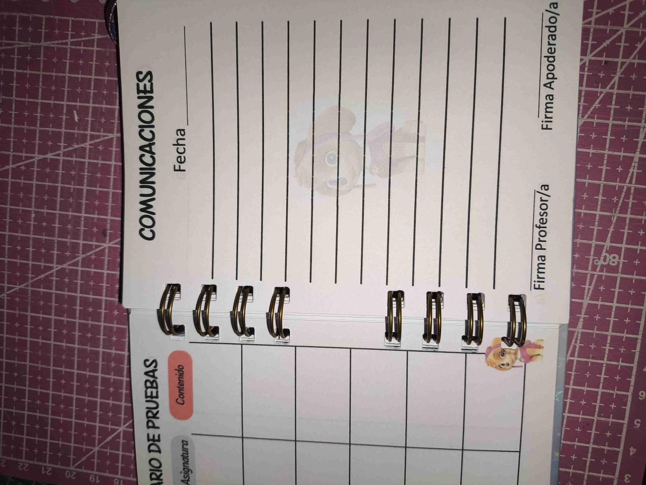 Agenda Escolar Sky Paw Patrol - miniatura 2
