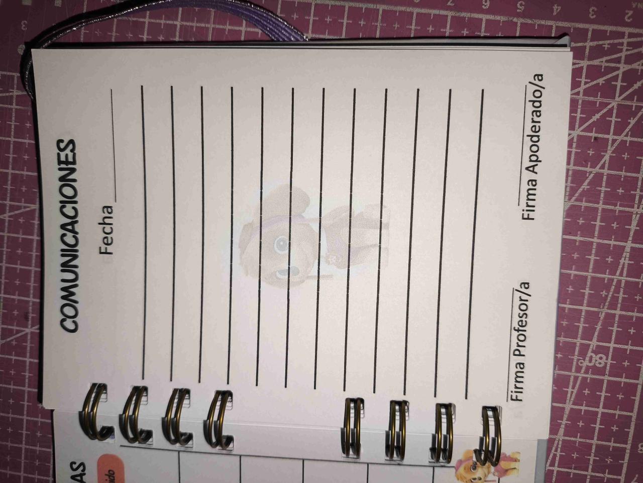 Agenda Escolar Sky Paw Patrol - miniatura 3