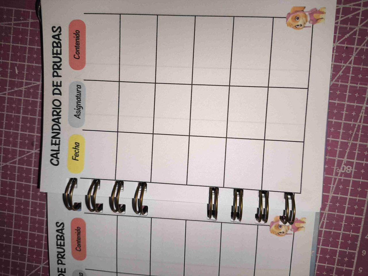 Agenda Escolar Sky Paw Patrol - miniatura 4