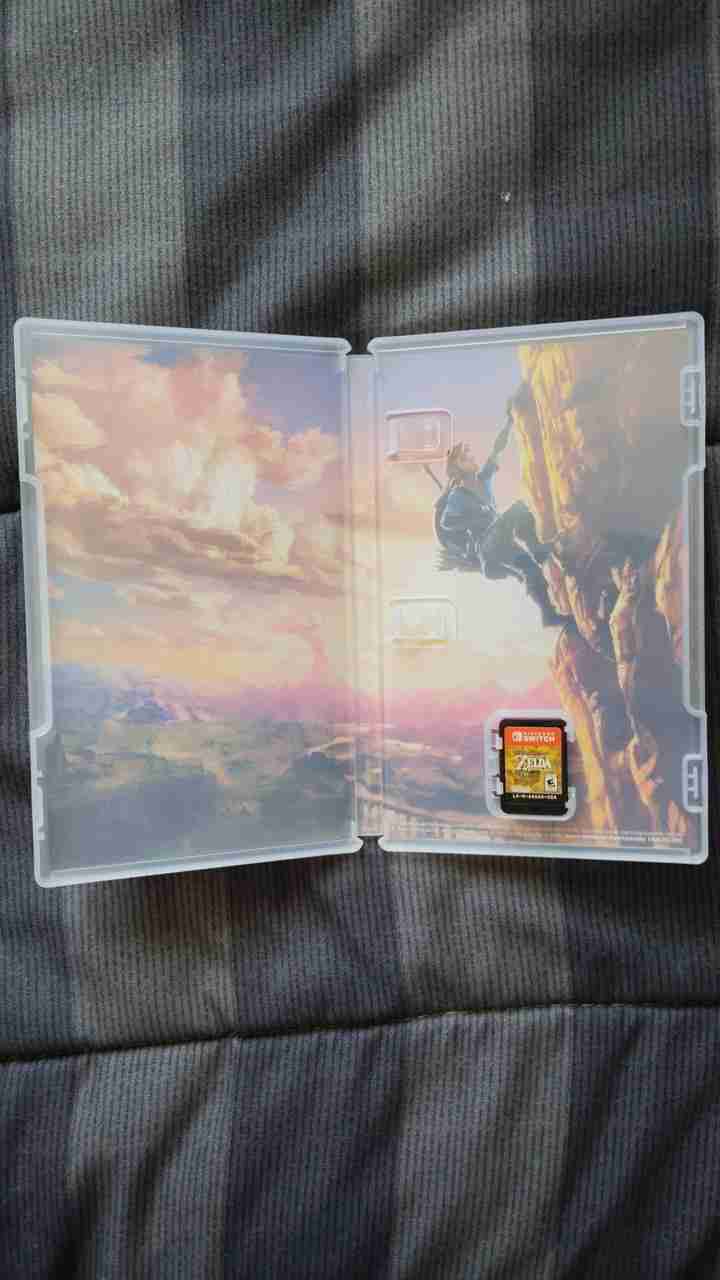 The Legend of Zelda: Breath of the Wild - miniatura 2