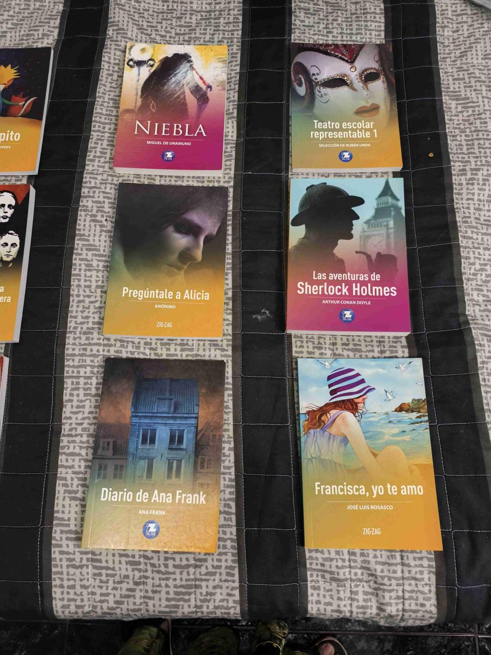 Colección libros clásicos y novelas - miniatura 1