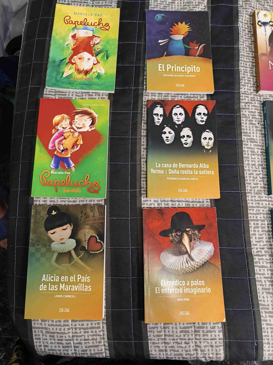 Colección libros clásicos y novelas - miniatura 2