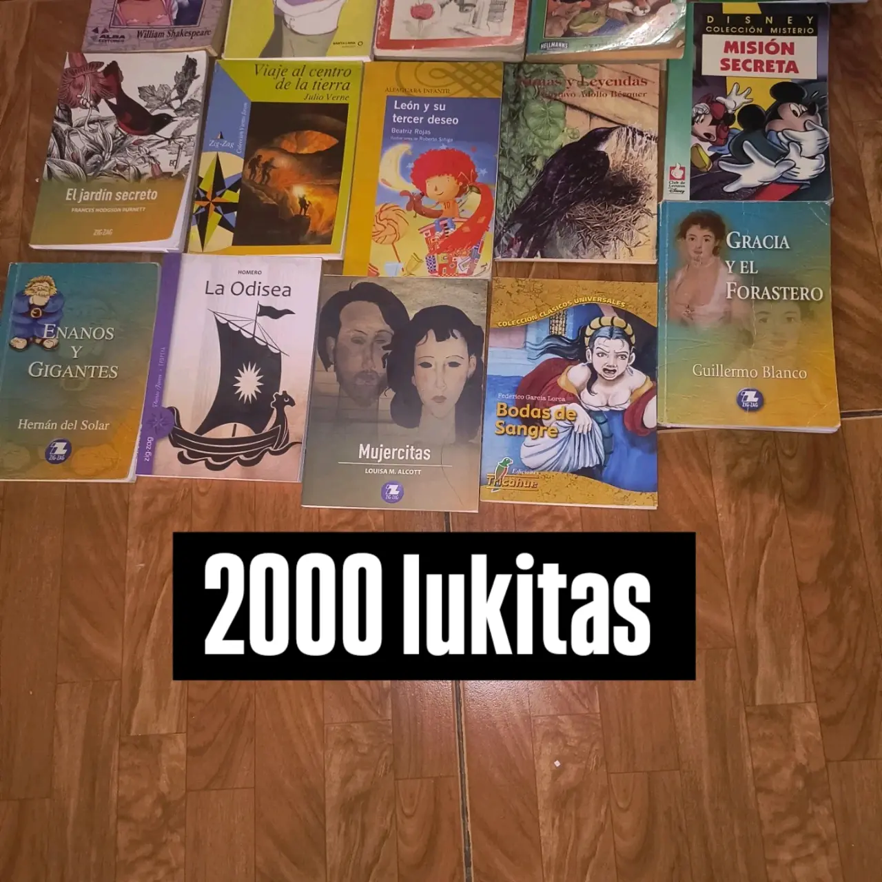 Colección de libros clásicos y novelas - miniatura 1
