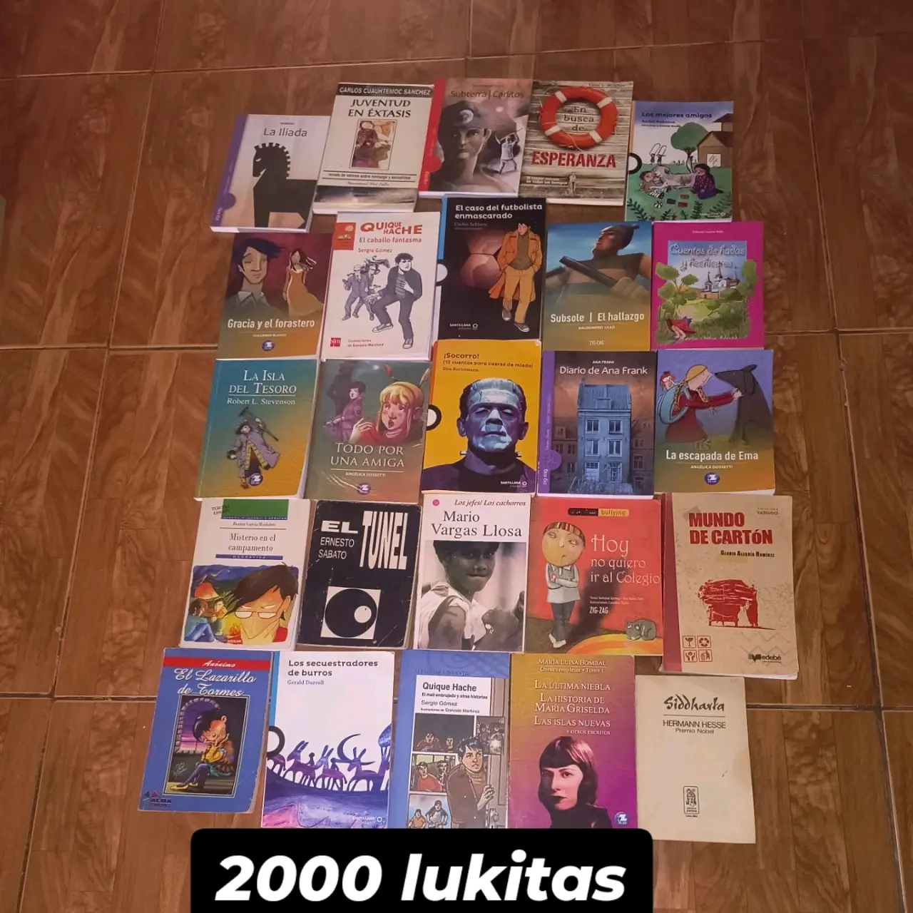 Colección de libros clásicos y novelas - miniatura 2