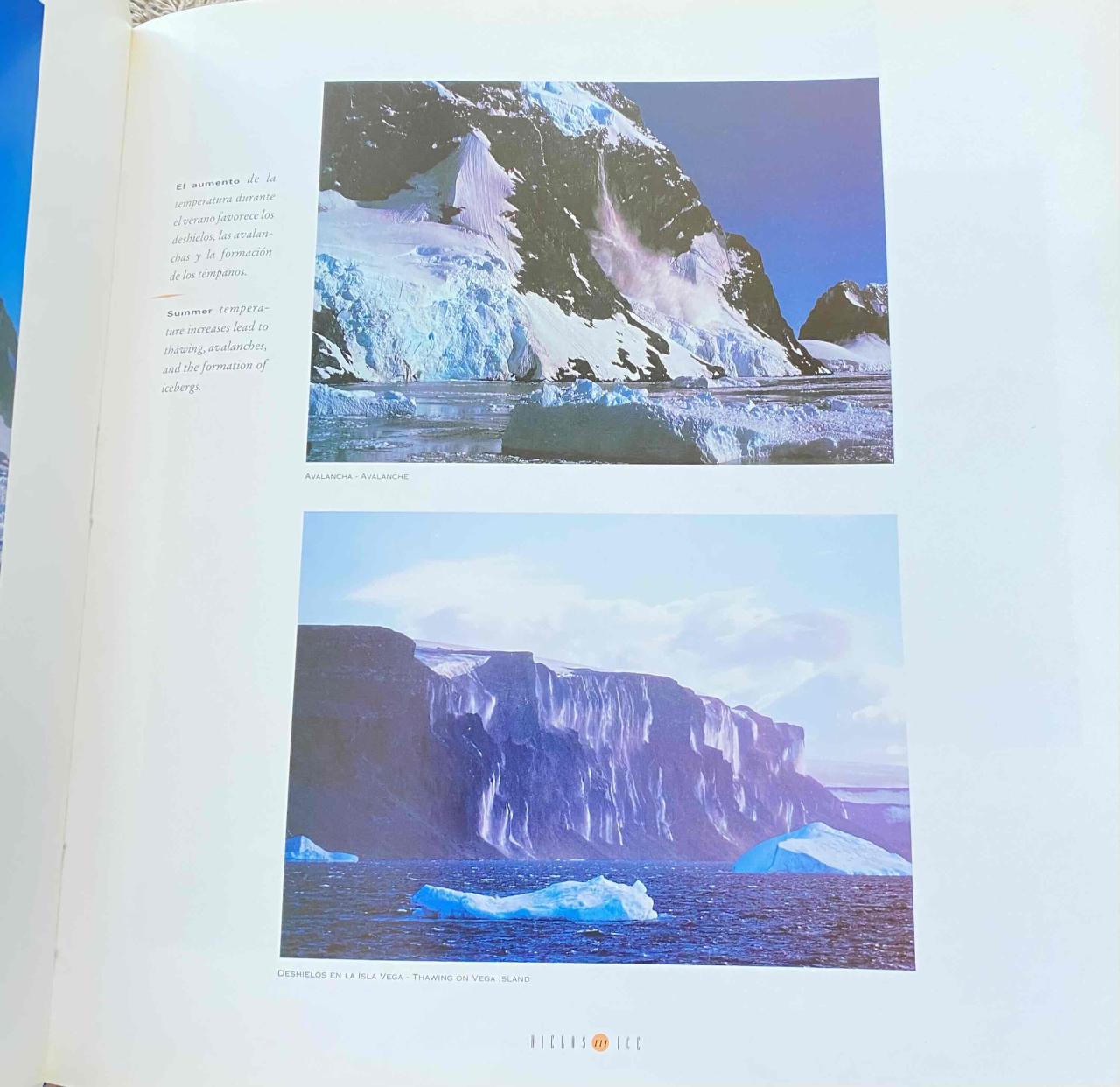 Libro Hielos del Sur - miniatura 2