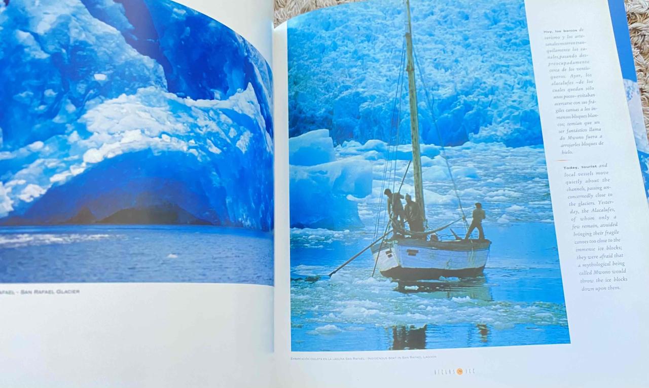 Libro Hielos del Sur - miniatura 4