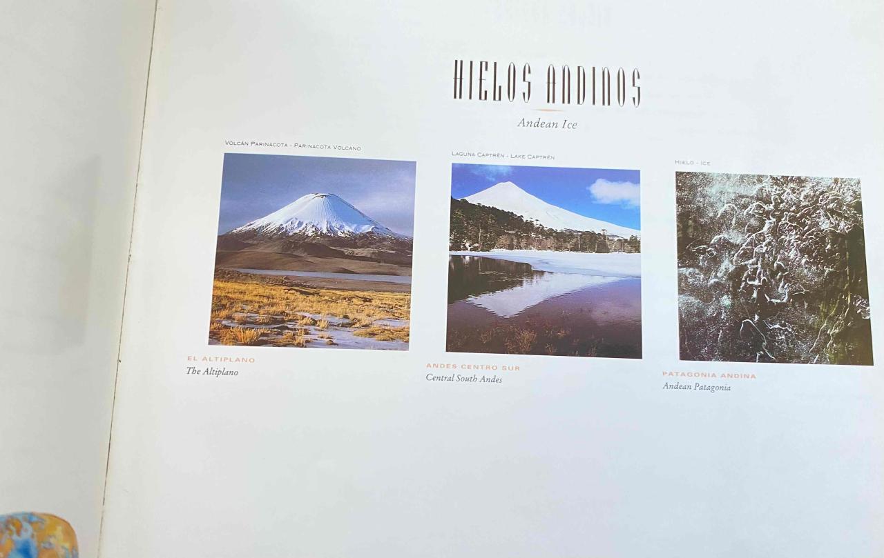 Libro Hielos del Sur - miniatura 5