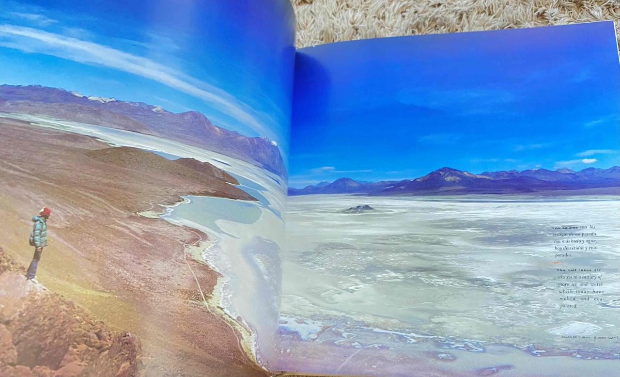 Libro Hielos del Sur - miniatura 6