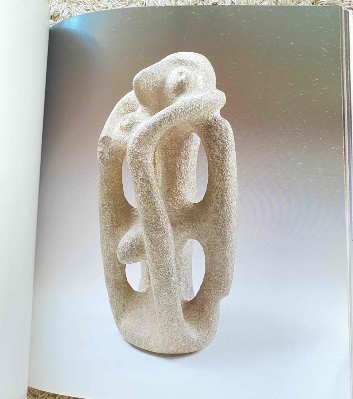 Libro La Cordillera de los Andes - miniatura 3