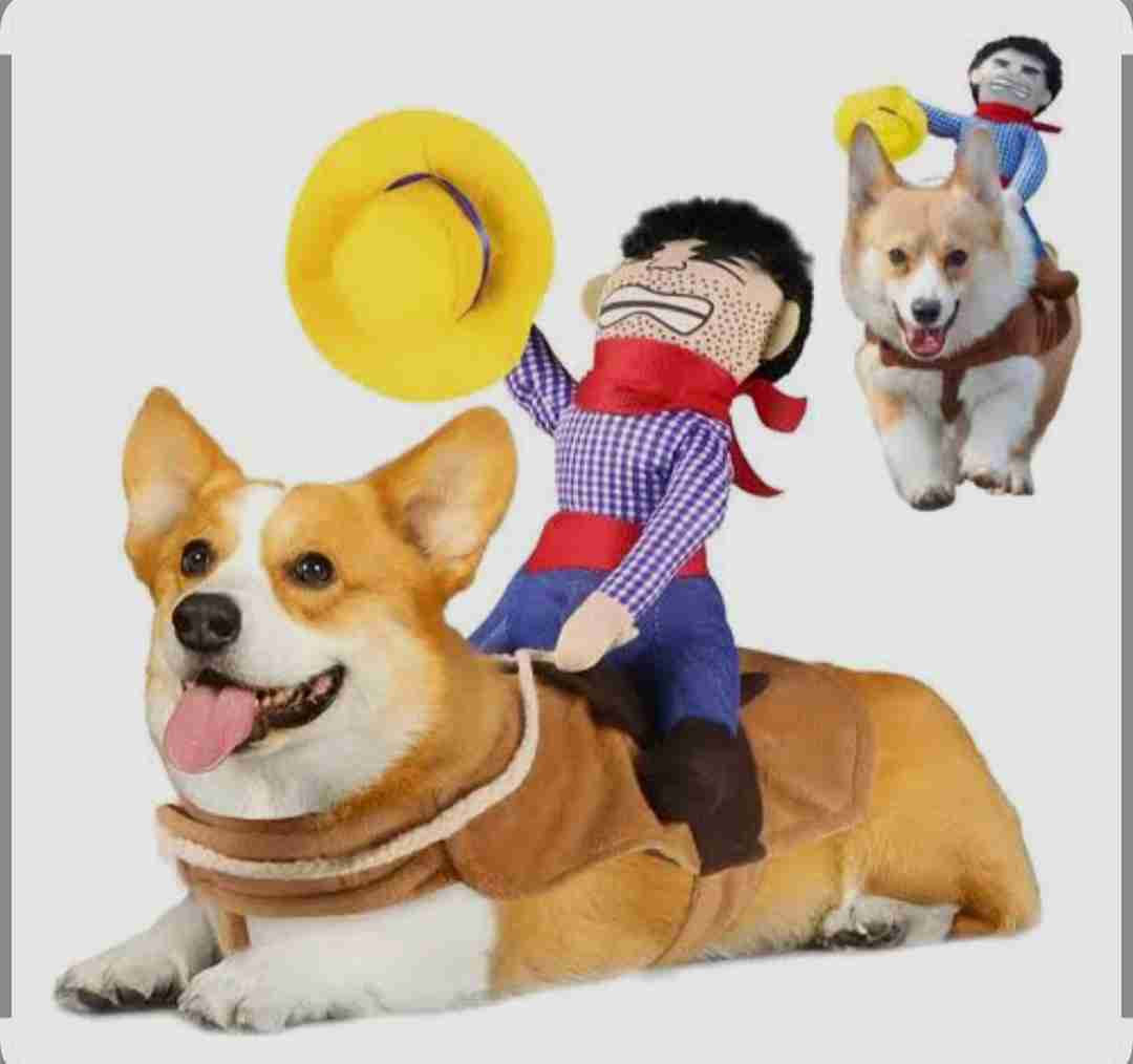 Disfraz vaquero para perro