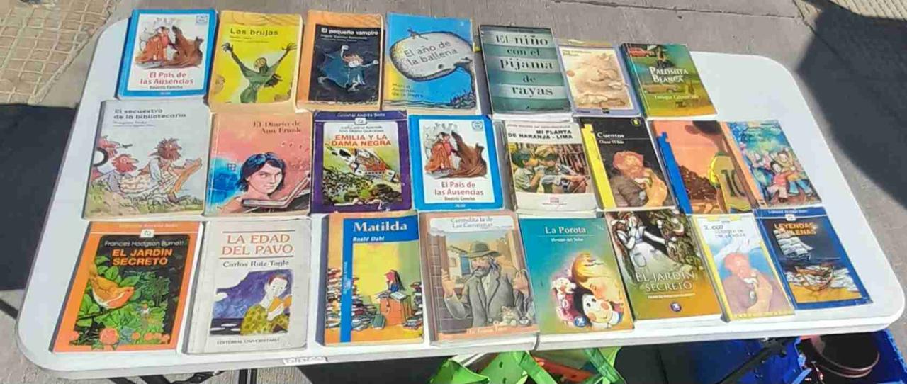 Libros lectura - miniatura 1