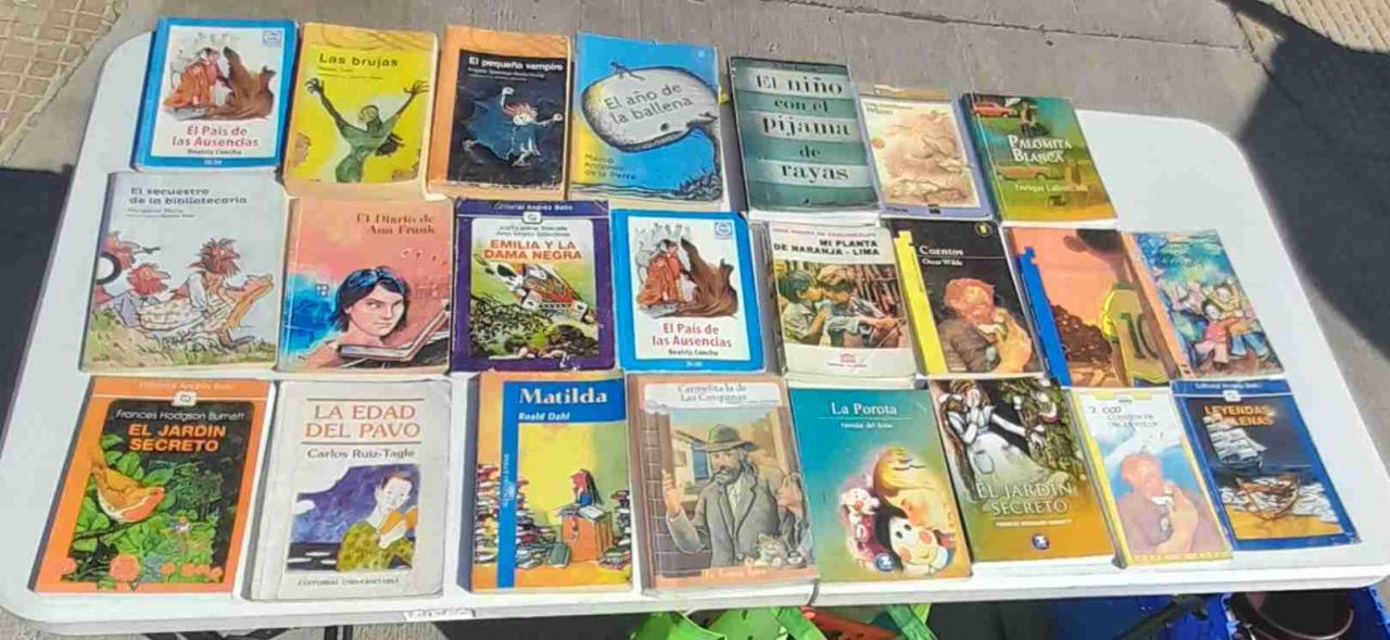 Libros lectura - miniatura 2