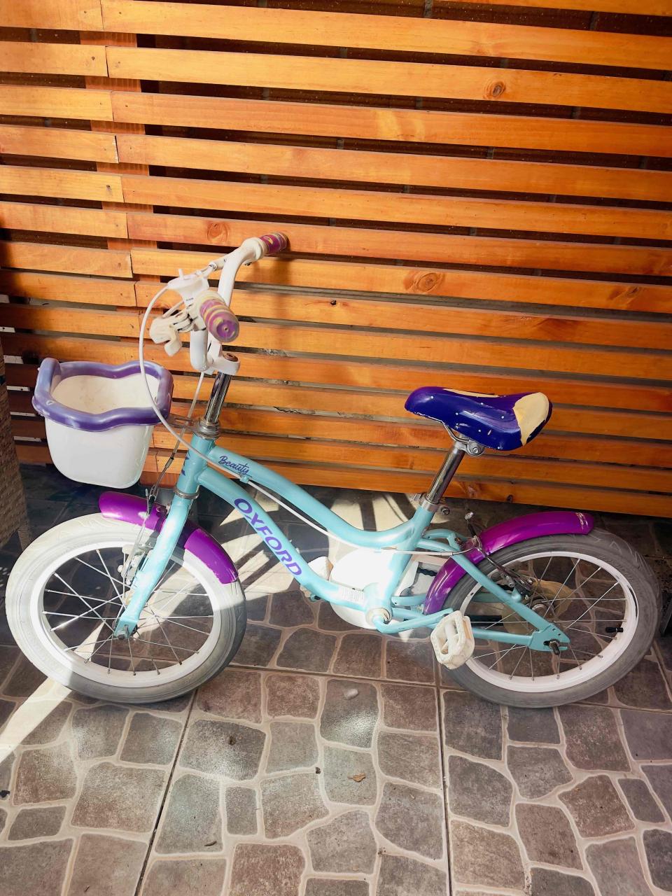 Bicicleta infantil azul con canasto - miniatura 2