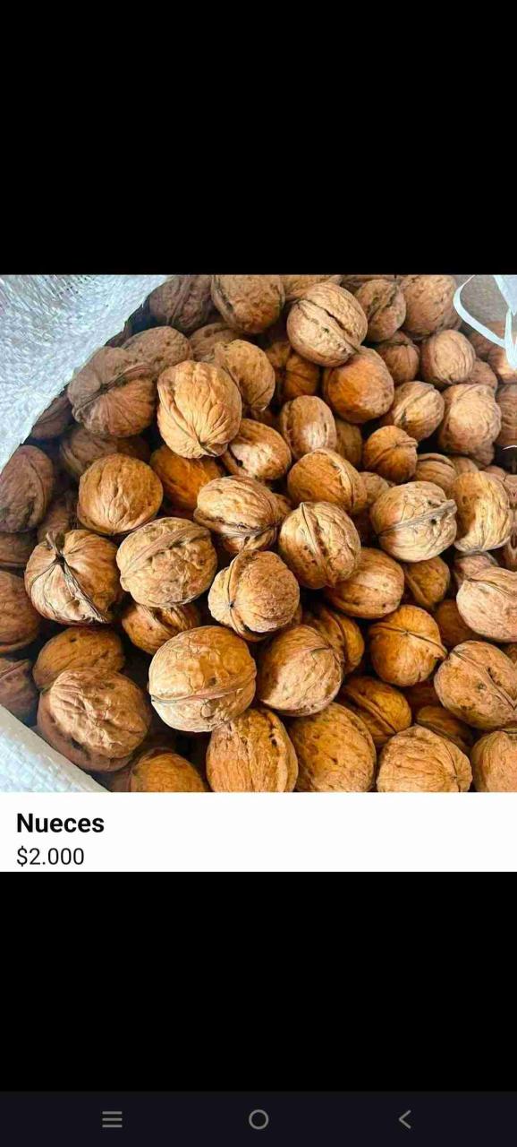 Nueces de temporada