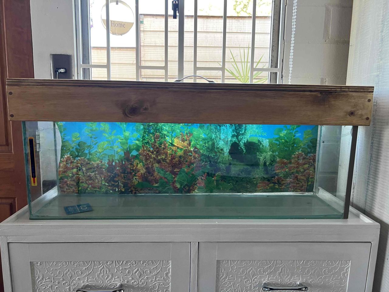 Acuario grande con tapa de madera - miniatura 1