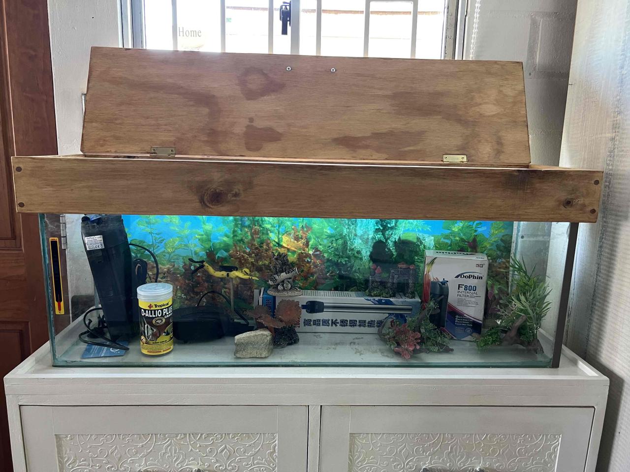 Acuario grande con tapa de madera - miniatura 3